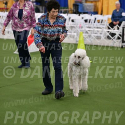 Ring-2-Morning-Obedience_0585