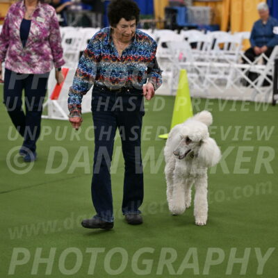 Ring-2-Morning-Obedience_0588