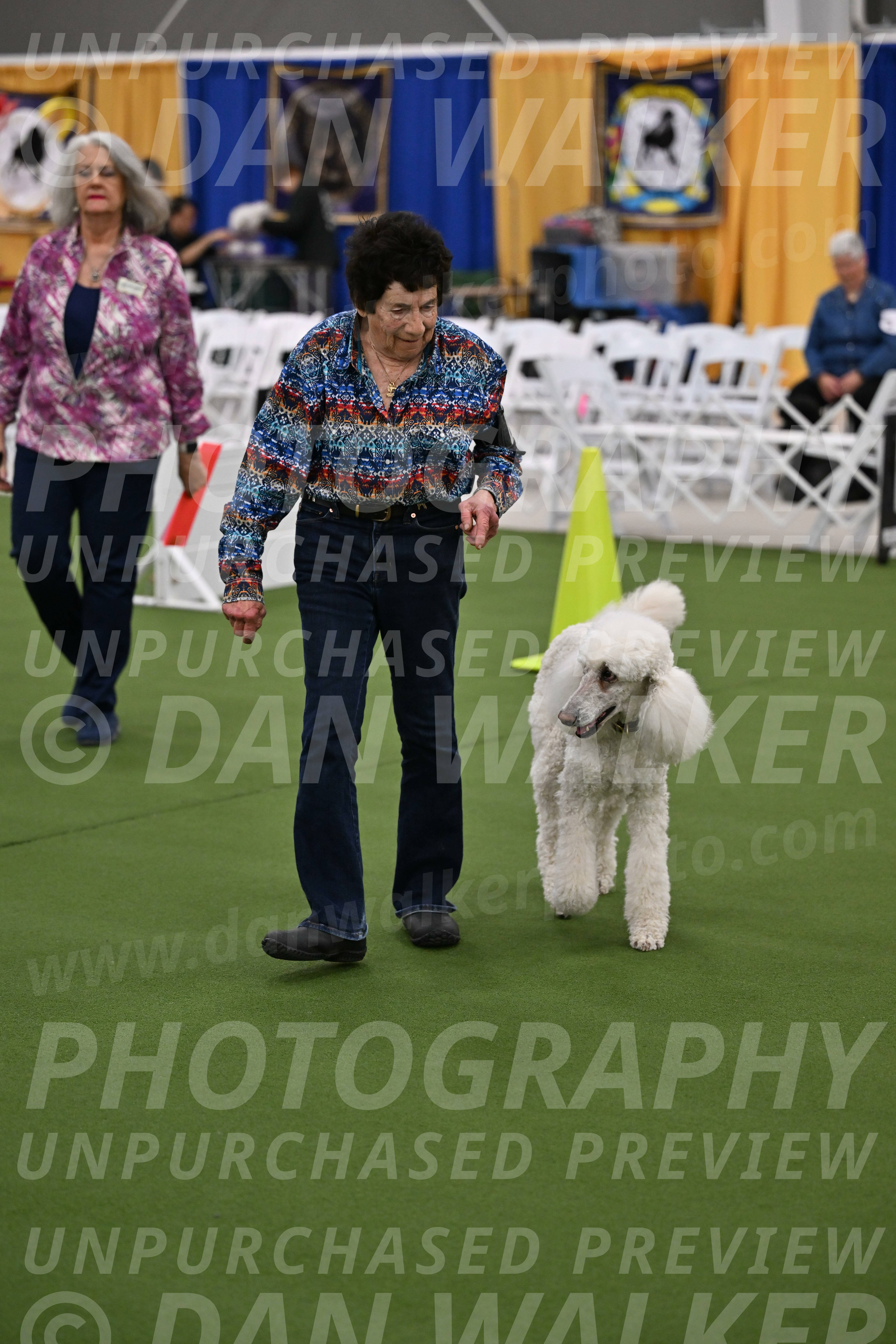 Ring-2-Morning-Obedience_0588