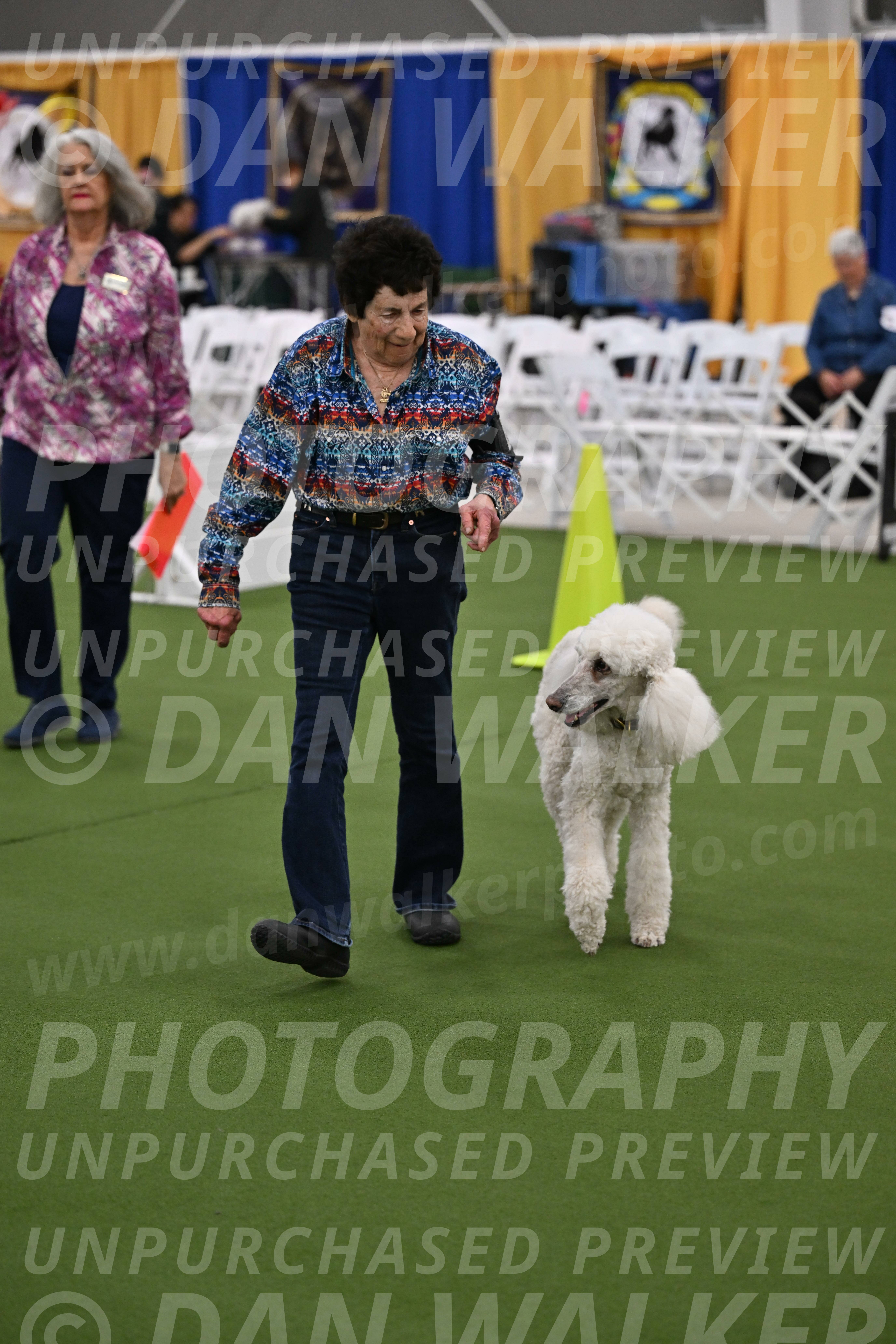 Ring-2-Morning-Obedience_0589