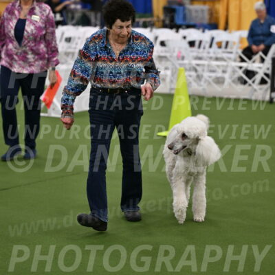 Ring-2-Morning-Obedience_0589