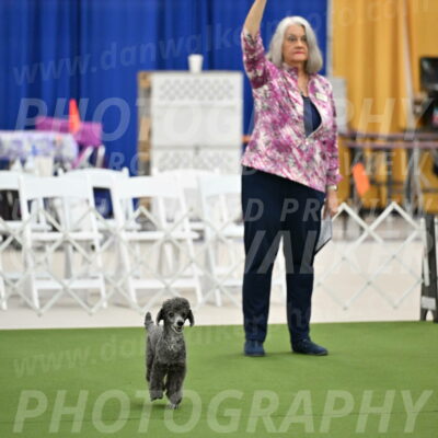 Ring-2-Morning-Obedience_0695