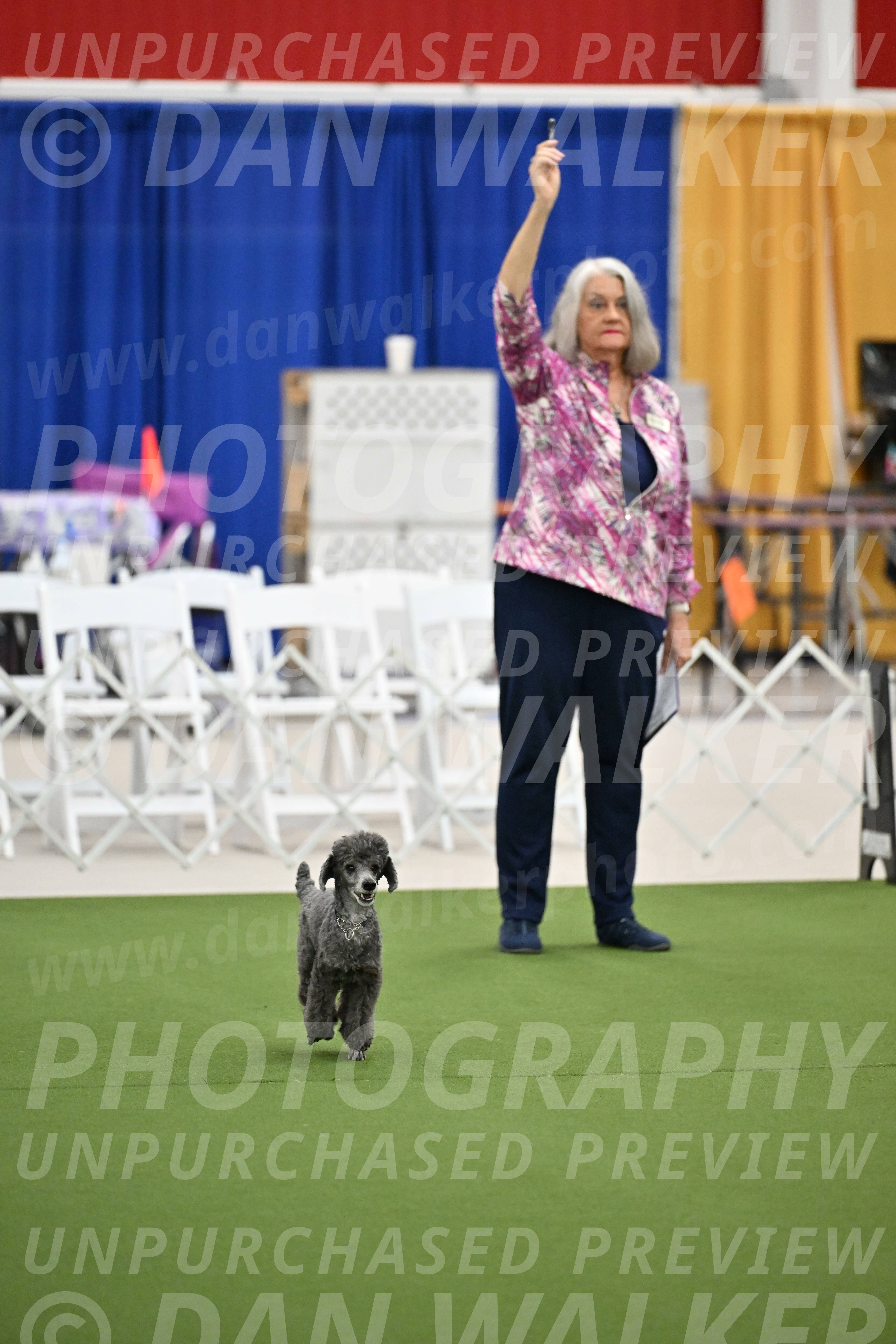 Ring-2-Morning-Obedience_0695