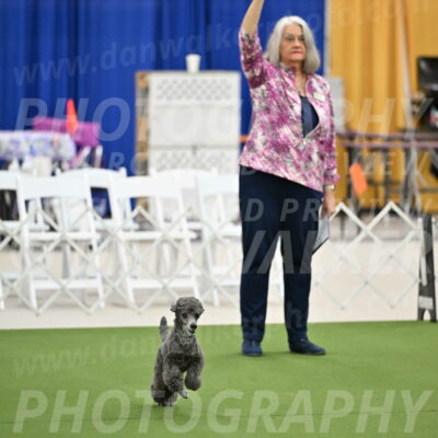 Ring-2-Morning-Obedience_0696