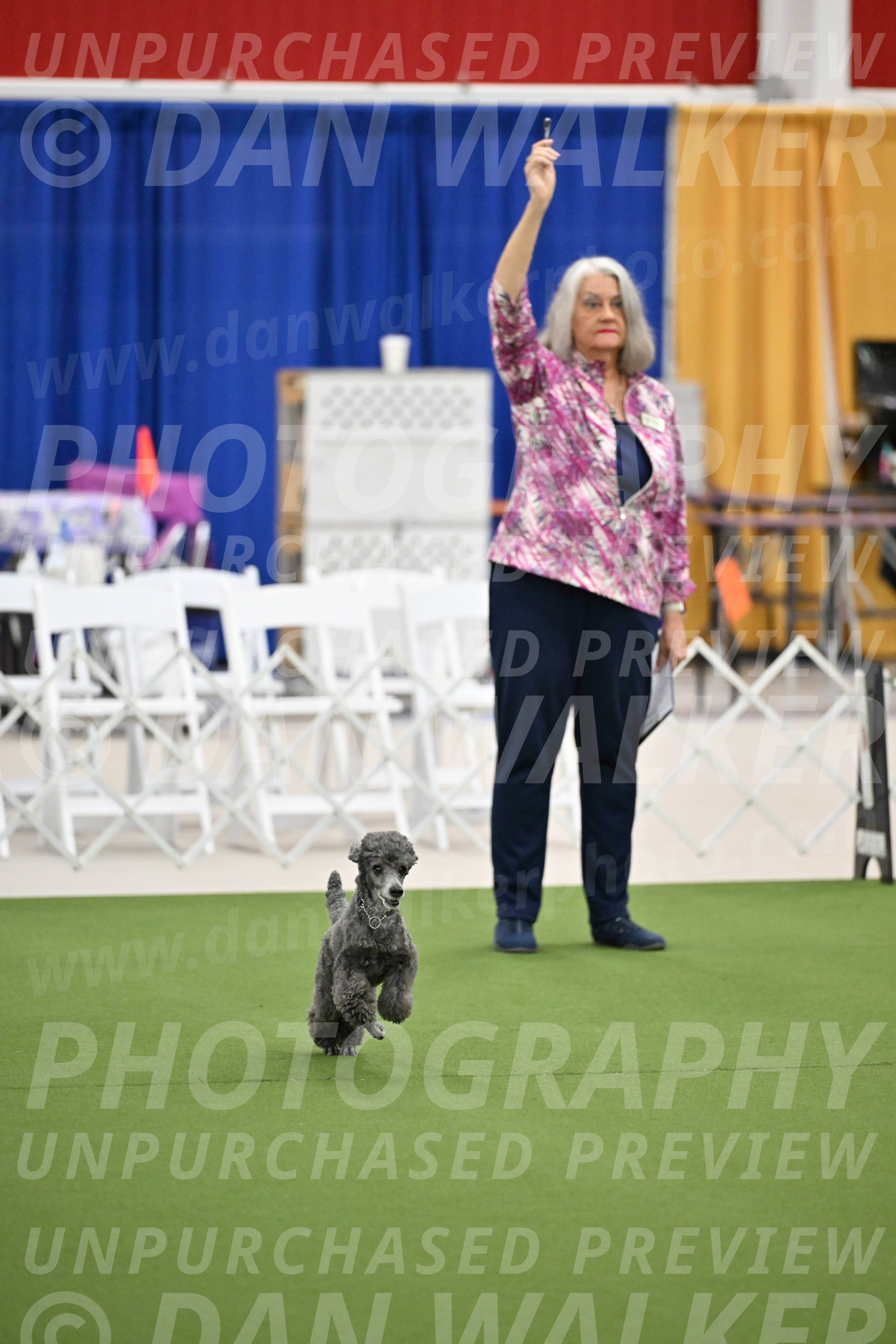 Ring-2-Morning-Obedience_0696