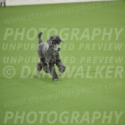 Ring-2-Morning-Obedience_0699