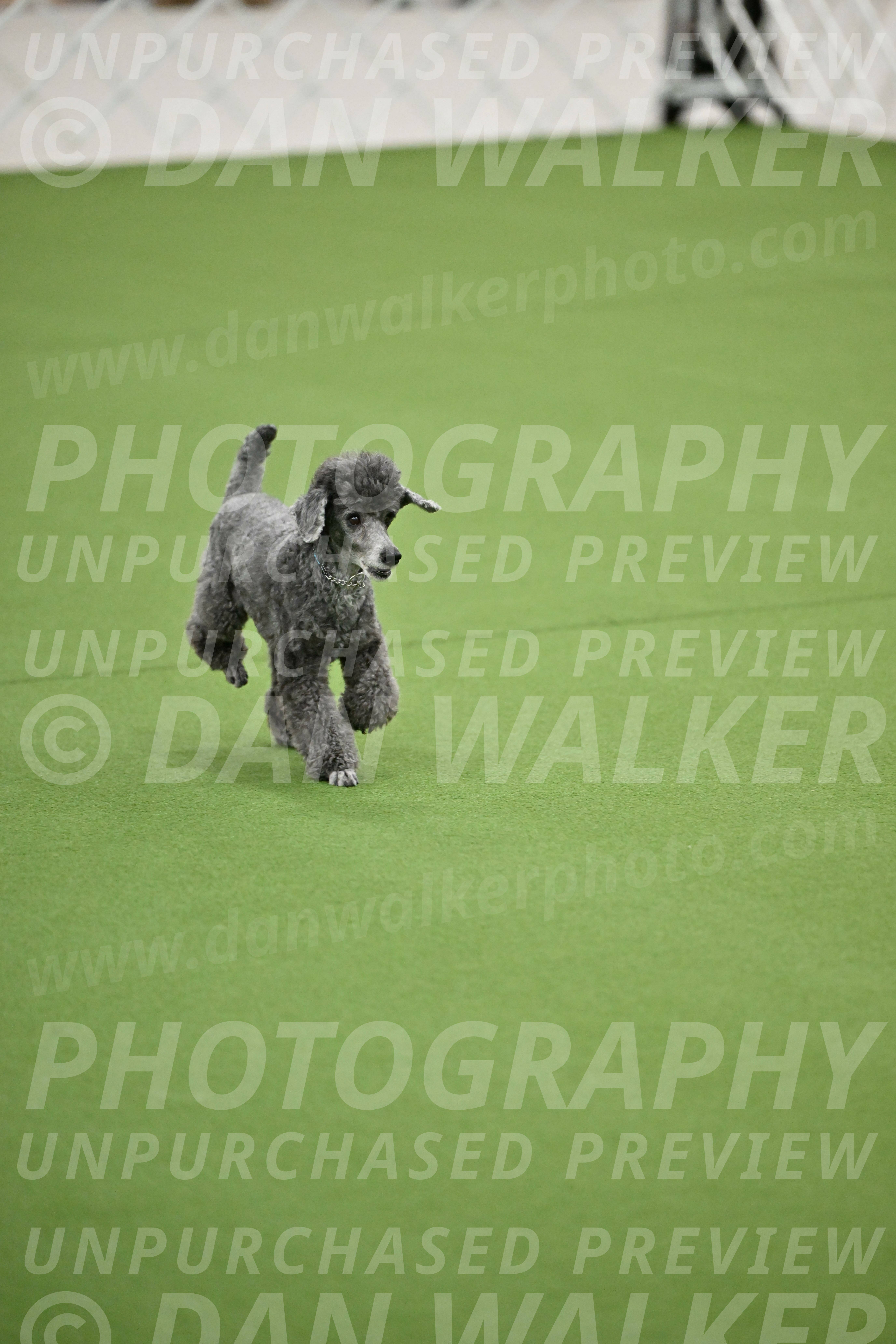 Ring-2-Morning-Obedience_0702