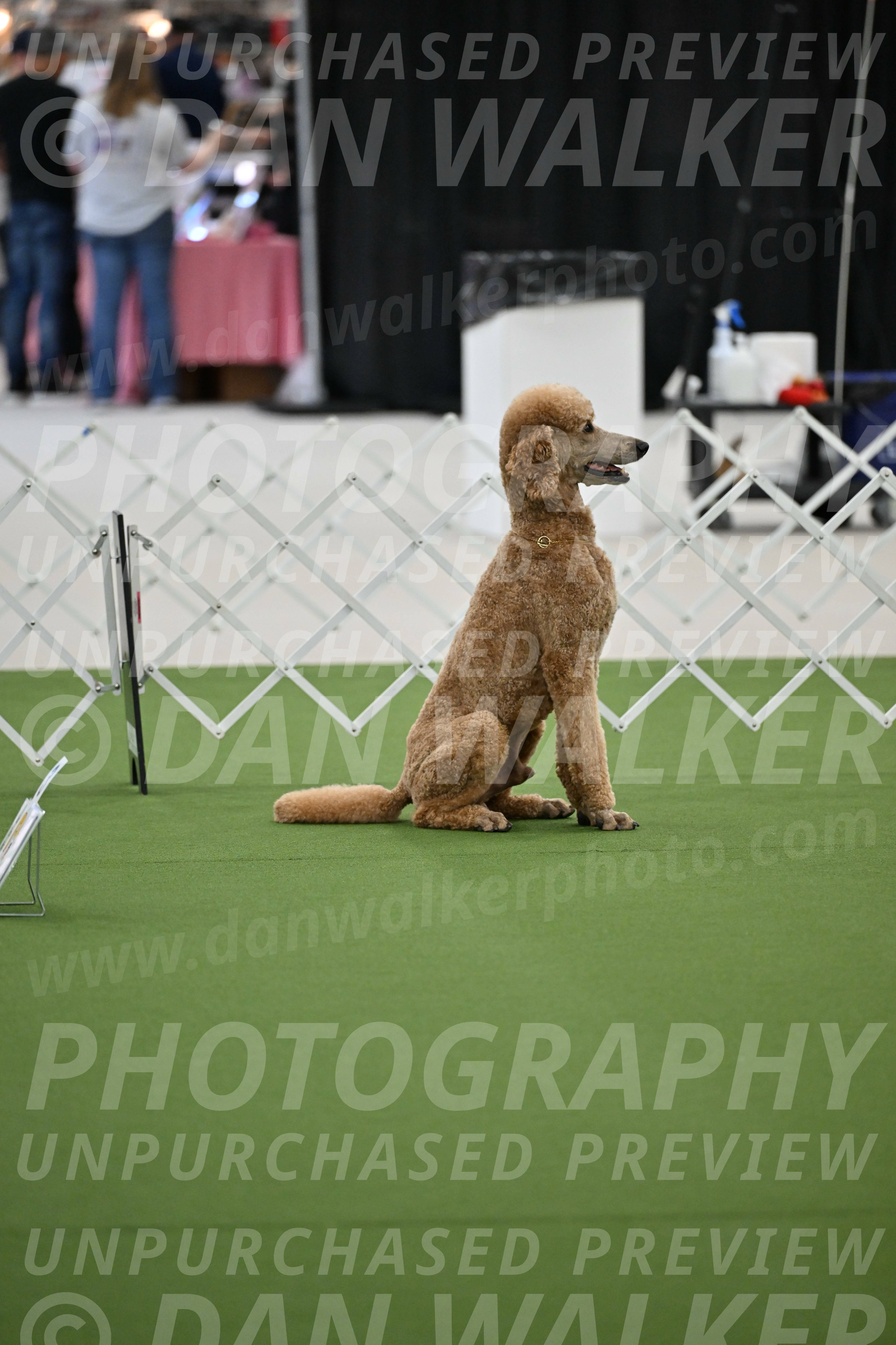 Ring-2-Morning-Obedience_0821