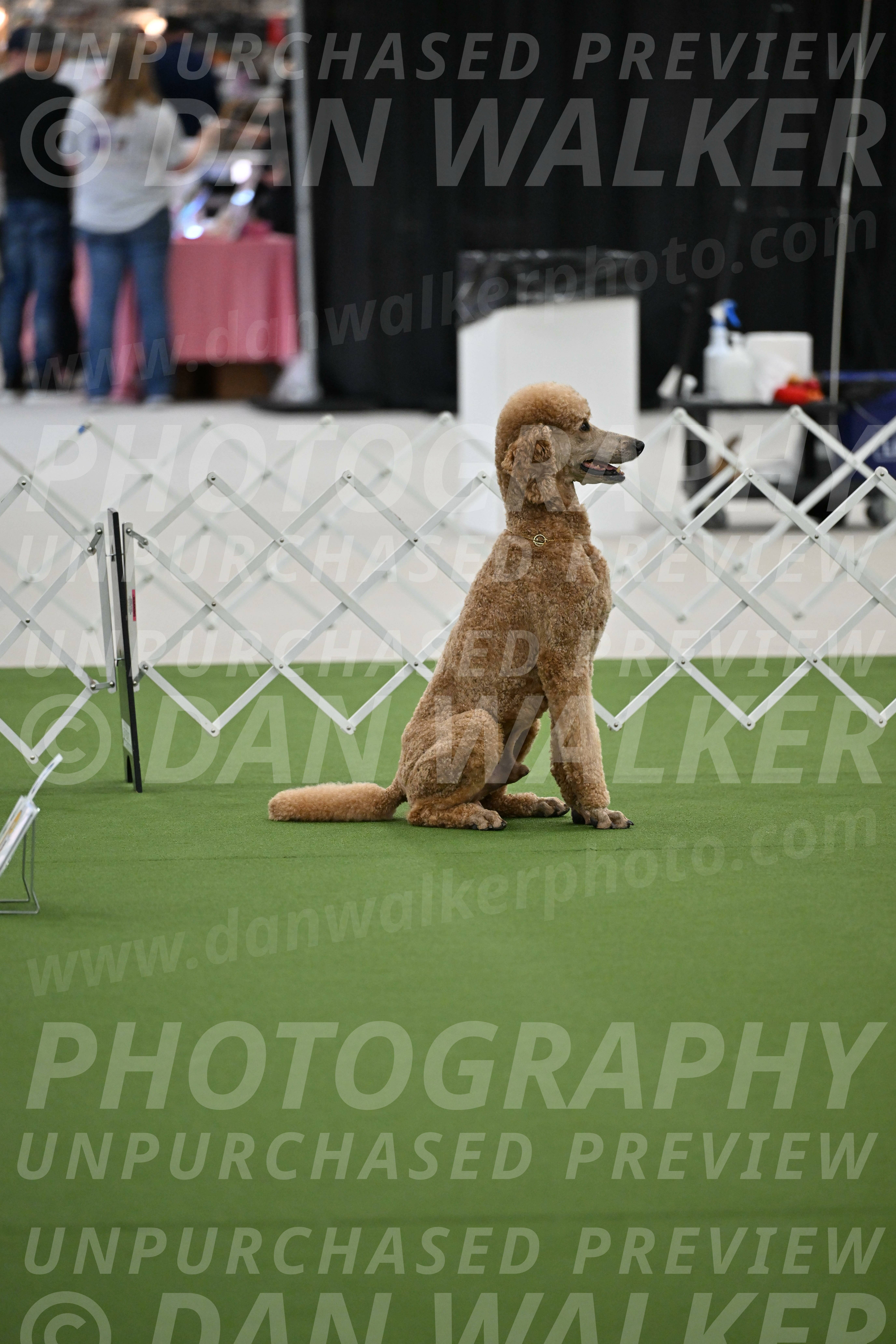 Ring-2-Morning-Obedience_0822