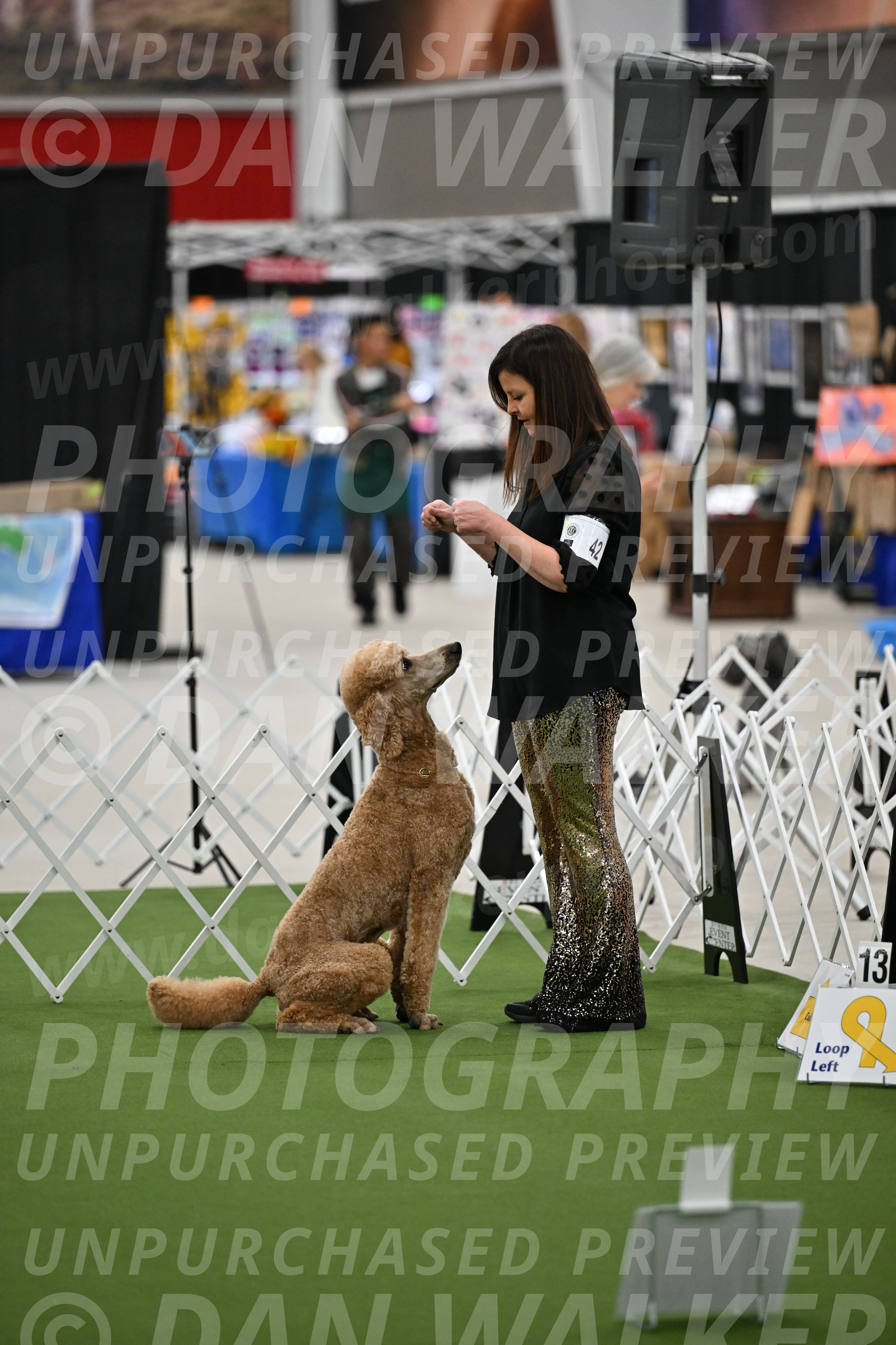 Ring-2-Morning-Obedience_0823