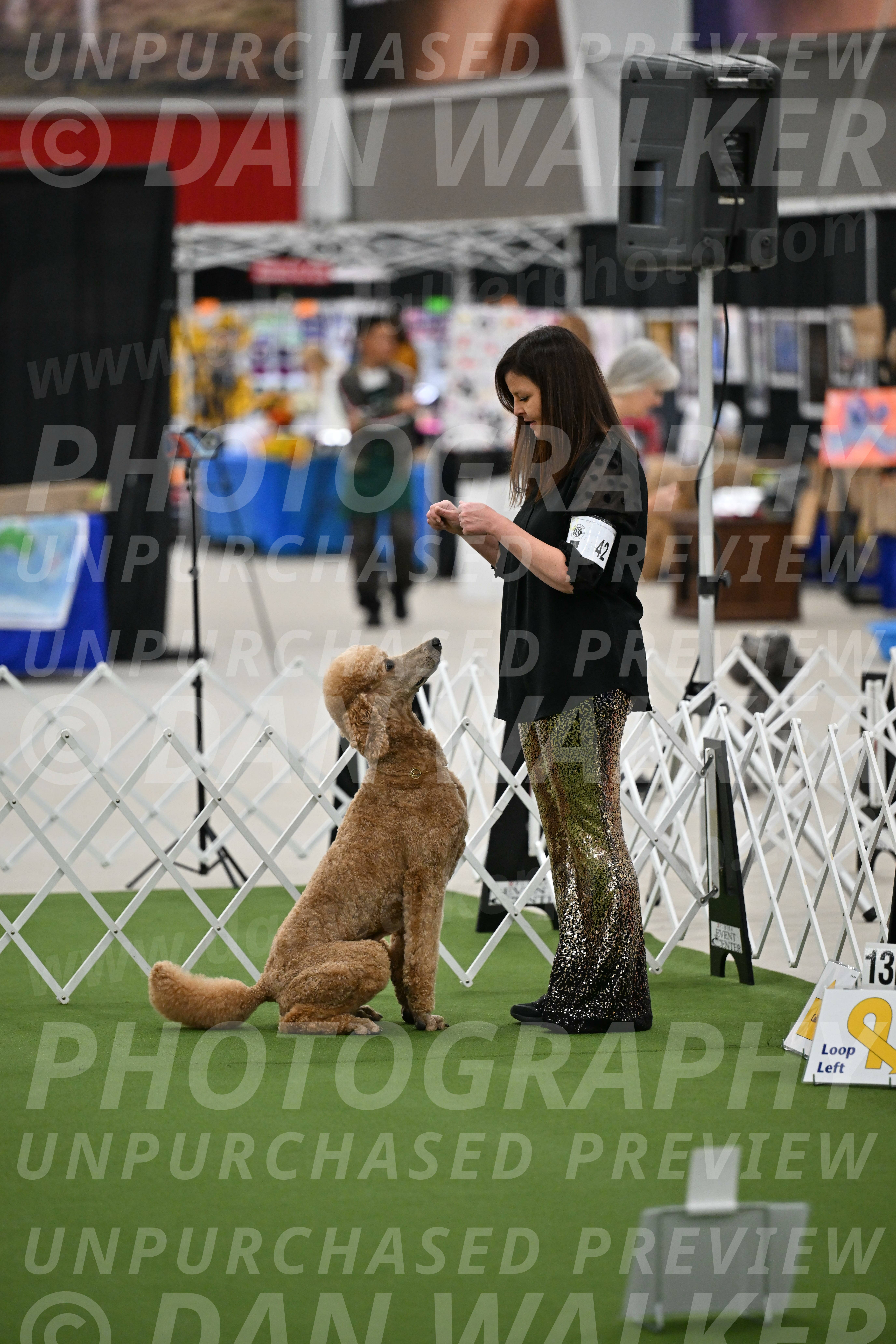 Ring-2-Morning-Obedience_0824