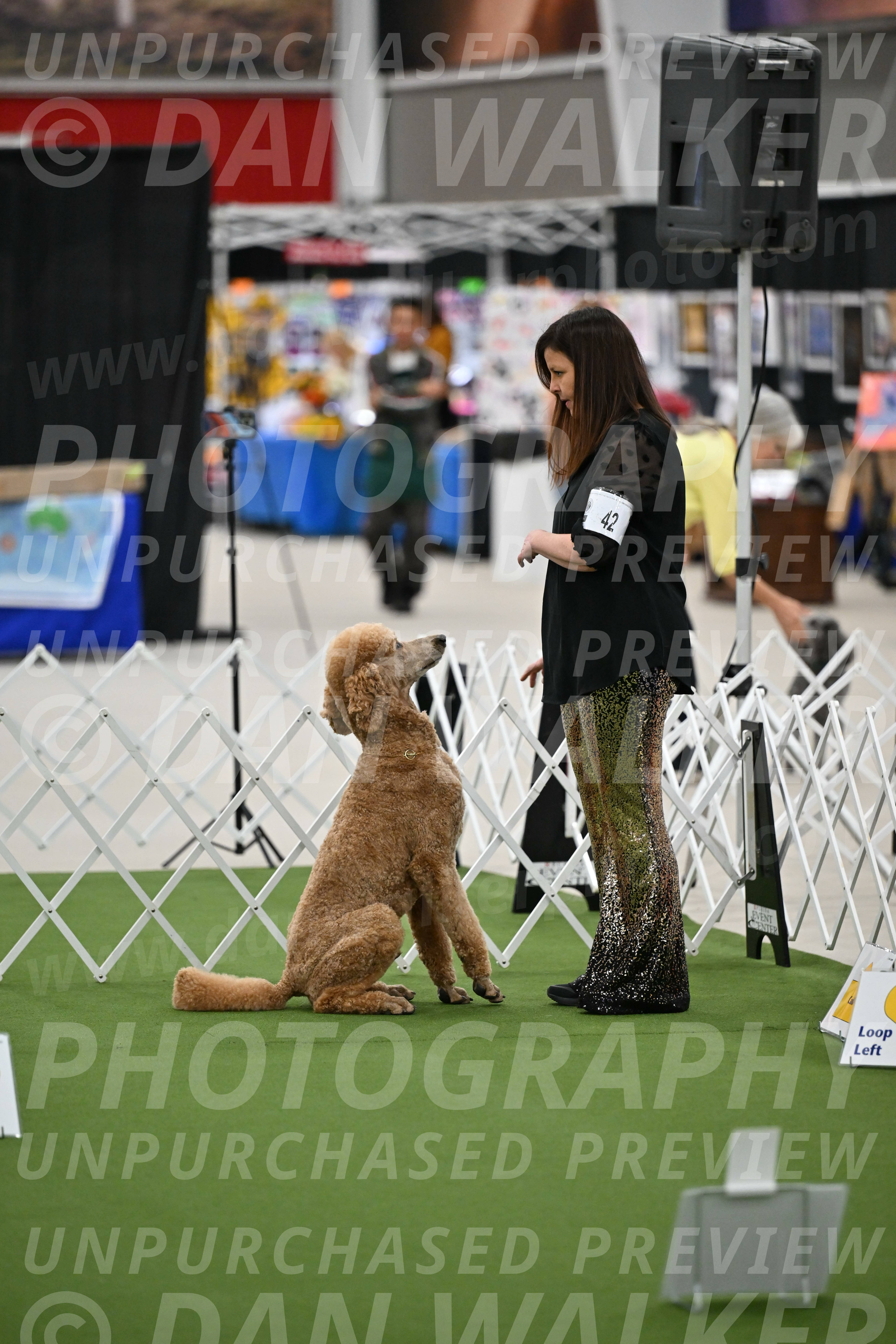 Ring-2-Morning-Obedience_0825