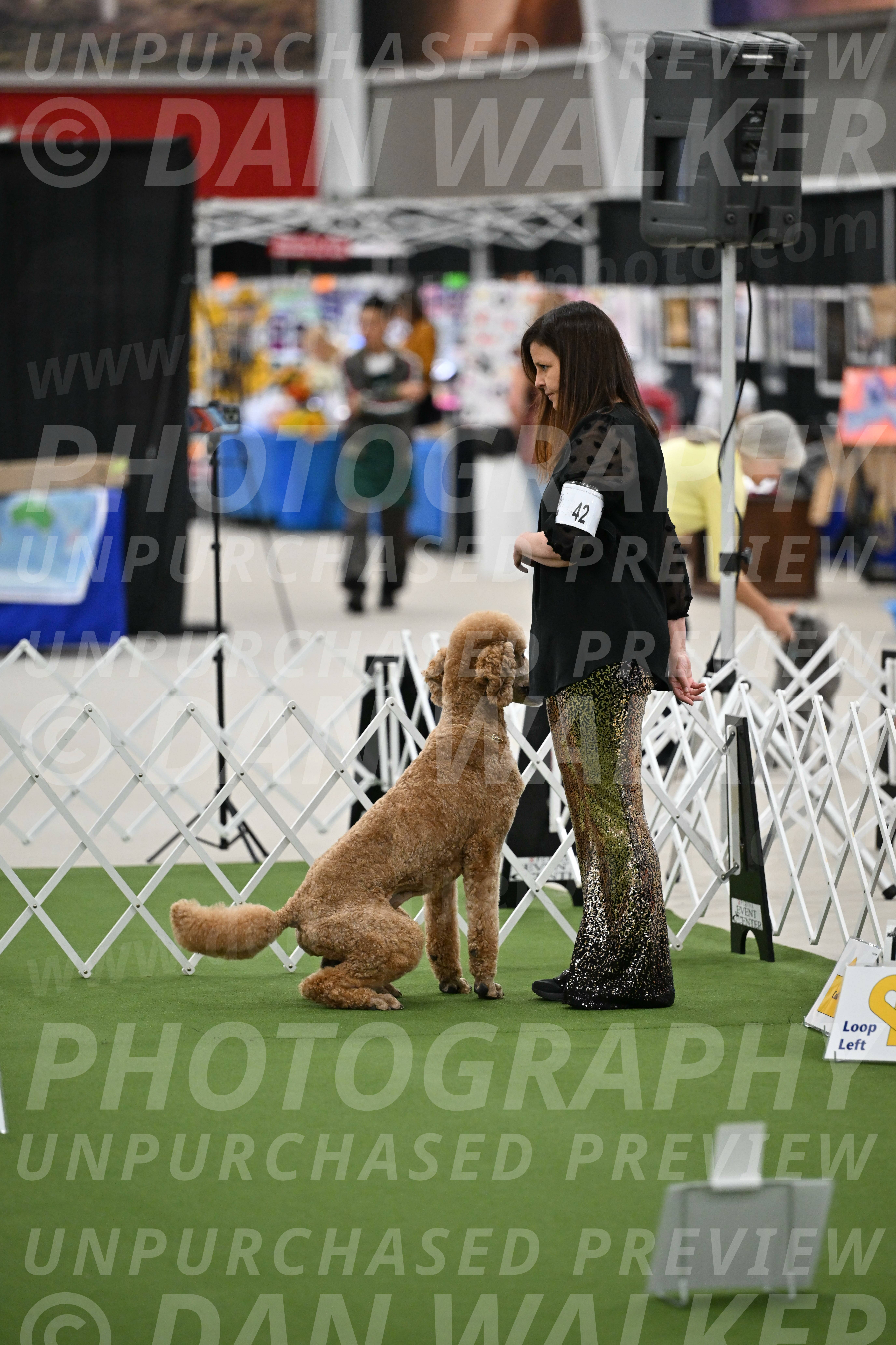 Ring-2-Morning-Obedience_0828