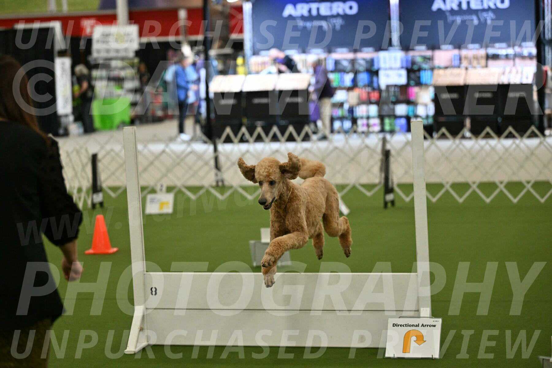 Ring-2-Morning-Obedience_0830