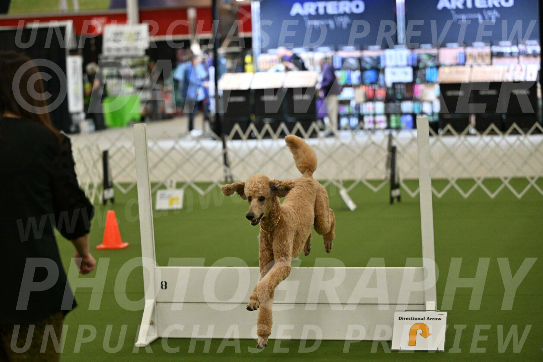 Ring-2-Morning-Obedience_0831