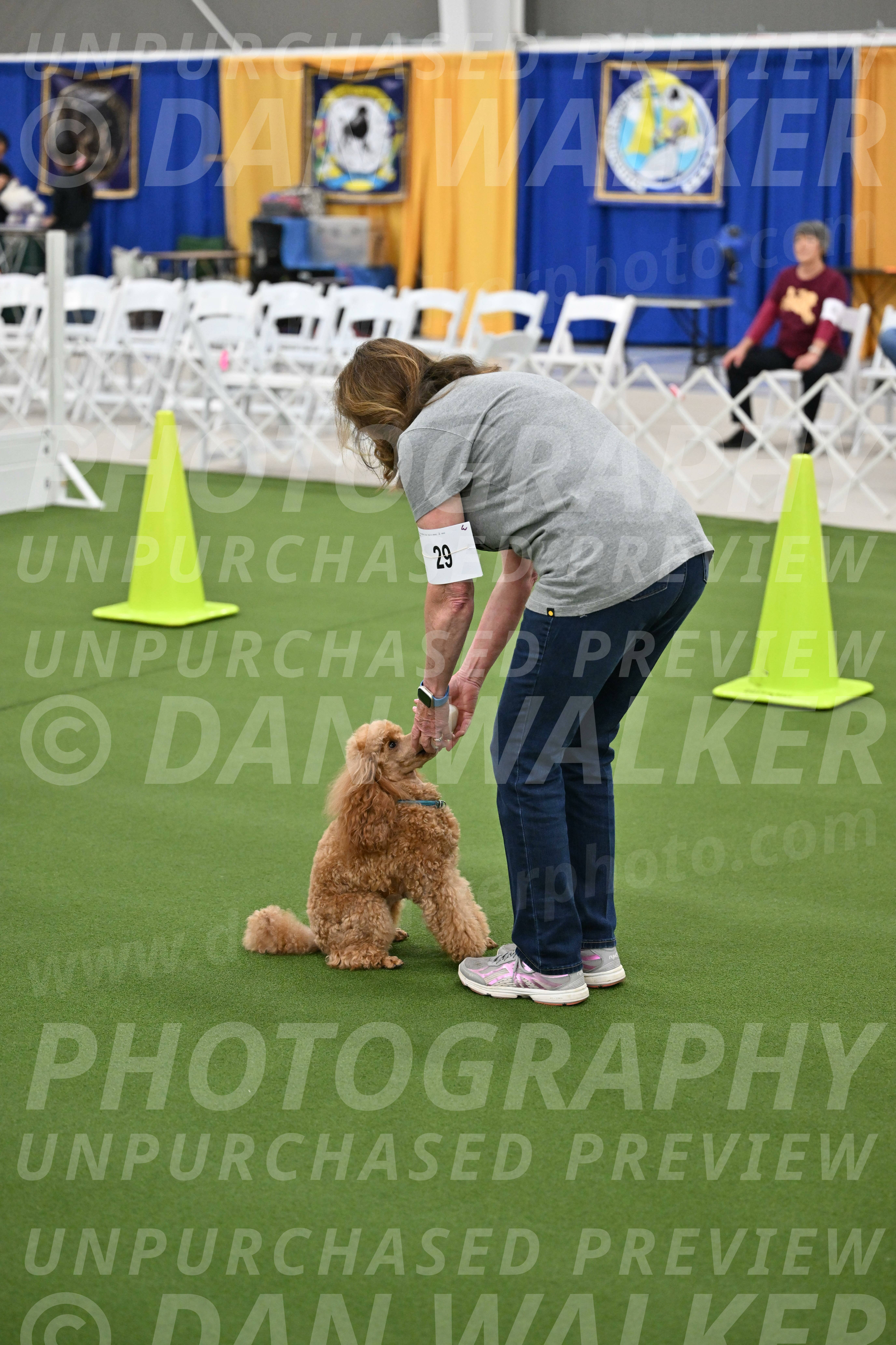 Ring-2-Morning-Obedience_0914