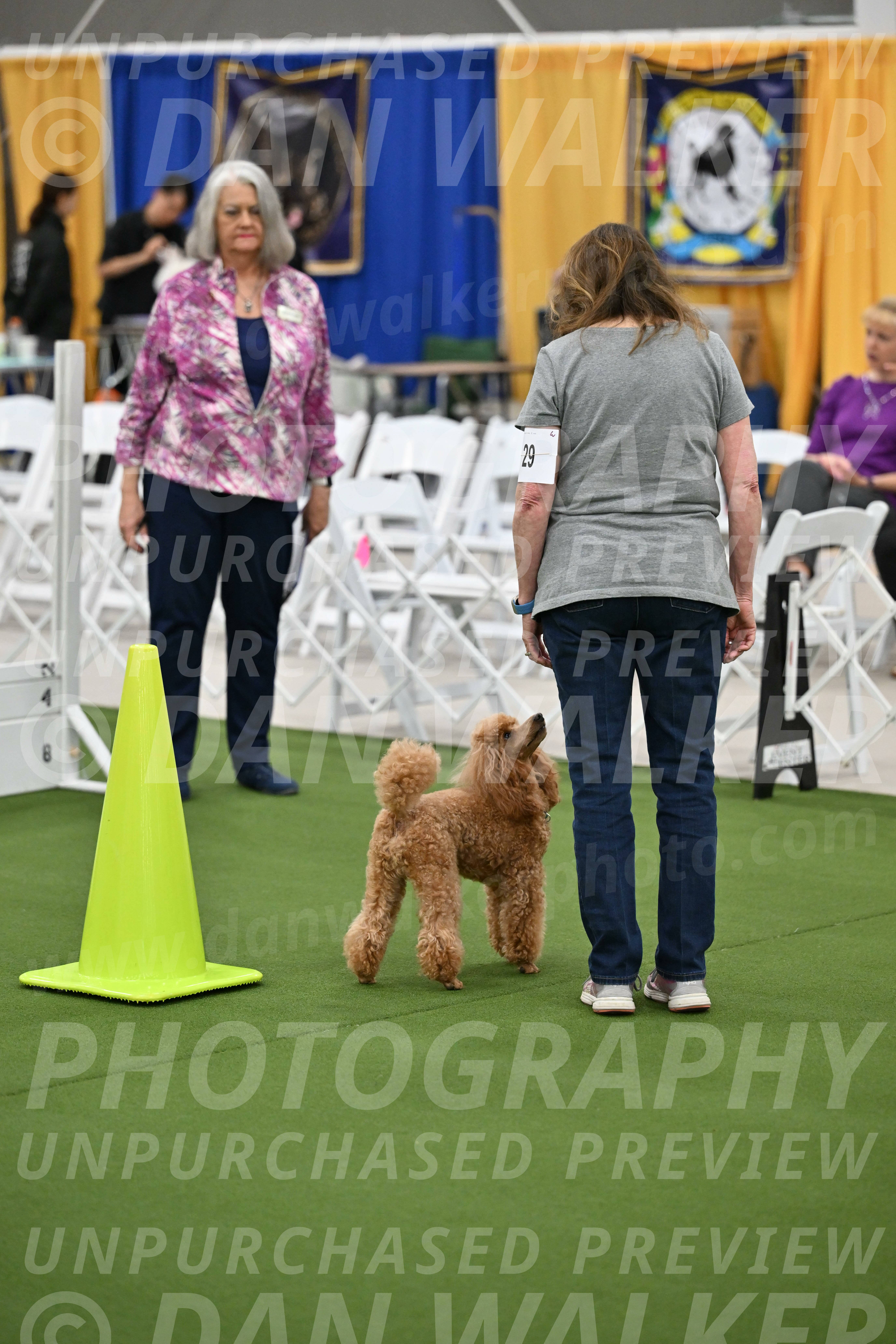 Ring-2-Morning-Obedience_0936