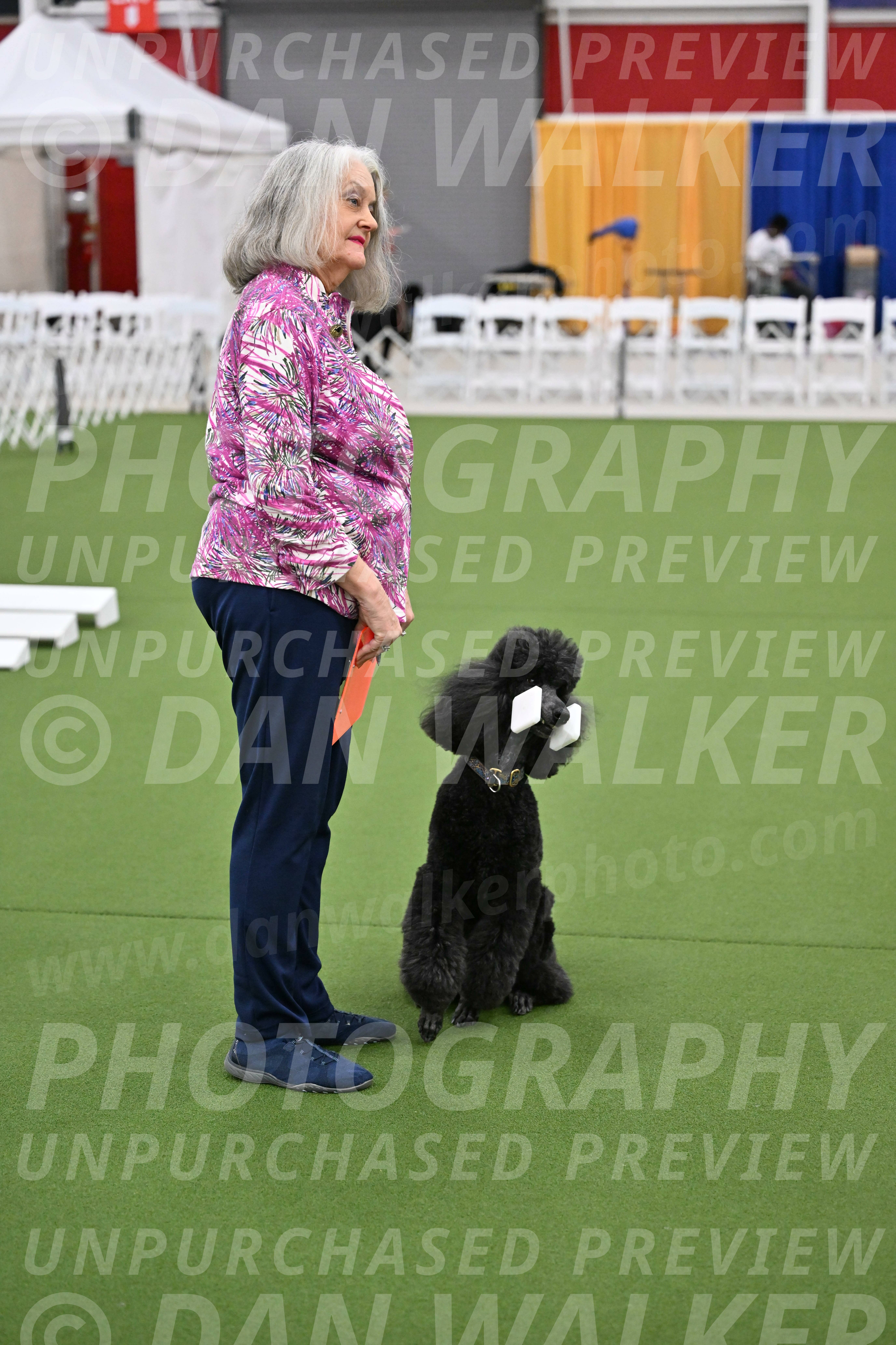Ring-2-Morning-Obedience_0973