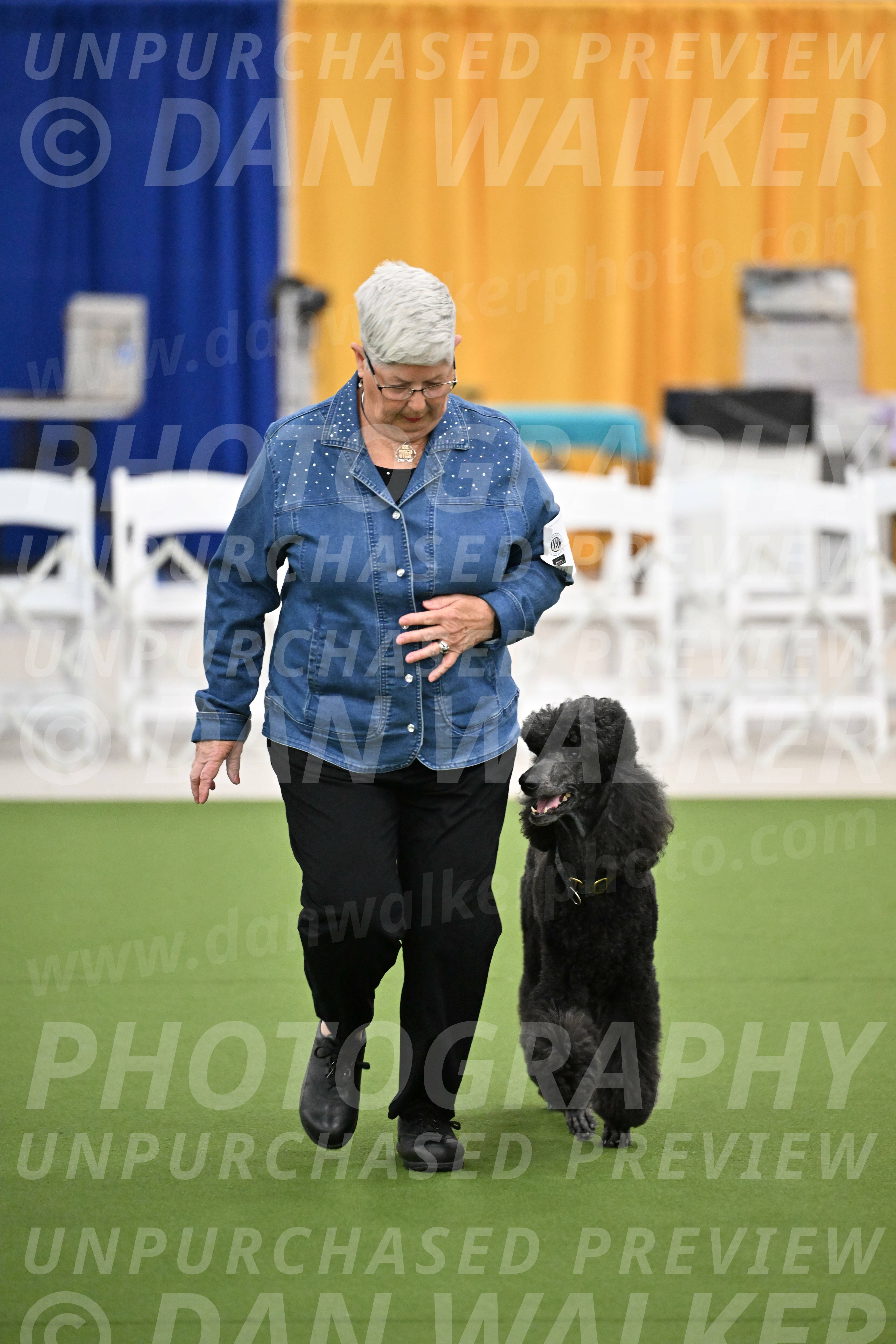 Ring-2-Morning-Obedience_1006