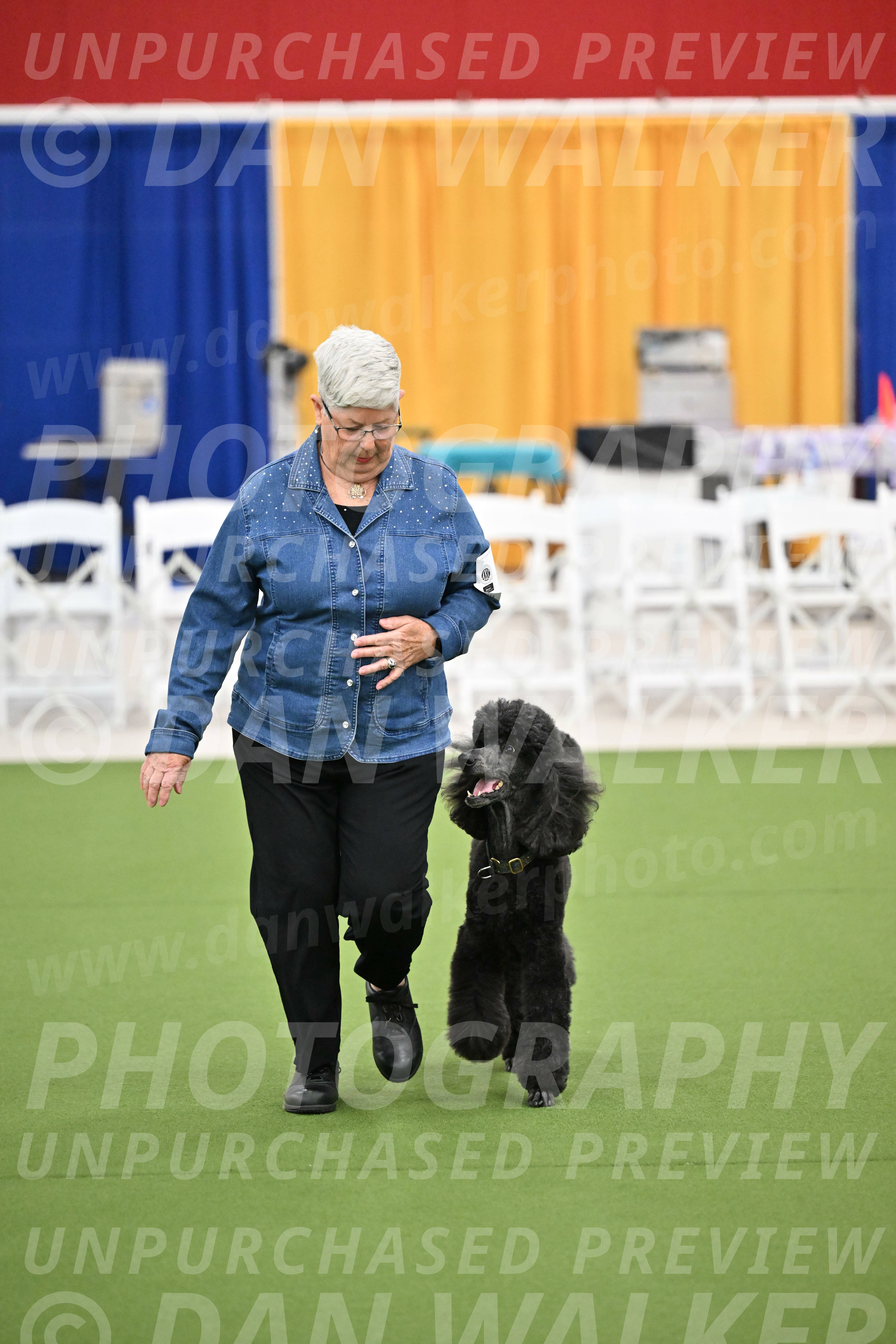 Ring-2-Morning-Obedience_1009
