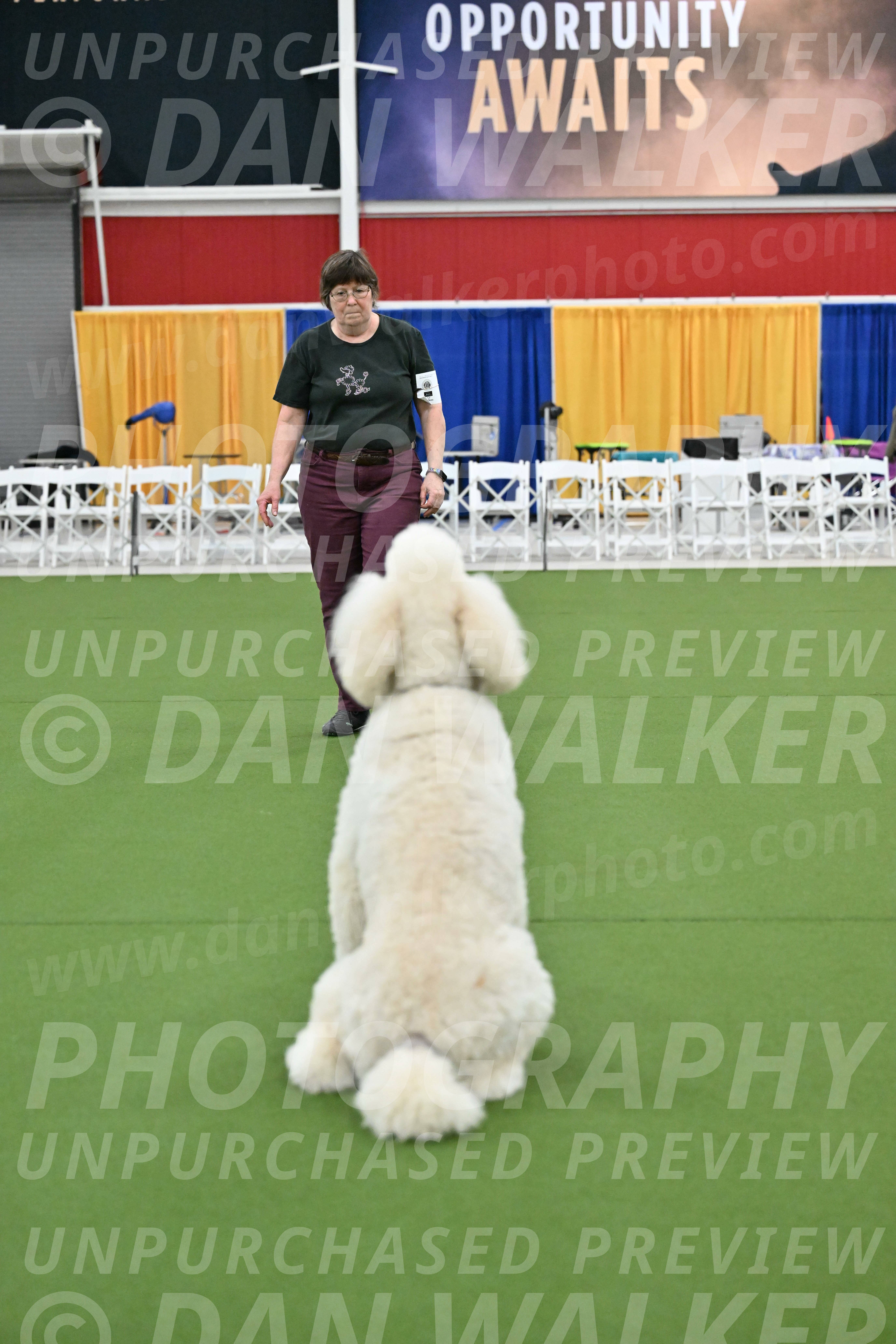 Ring-2-Morning-Obedience_1202