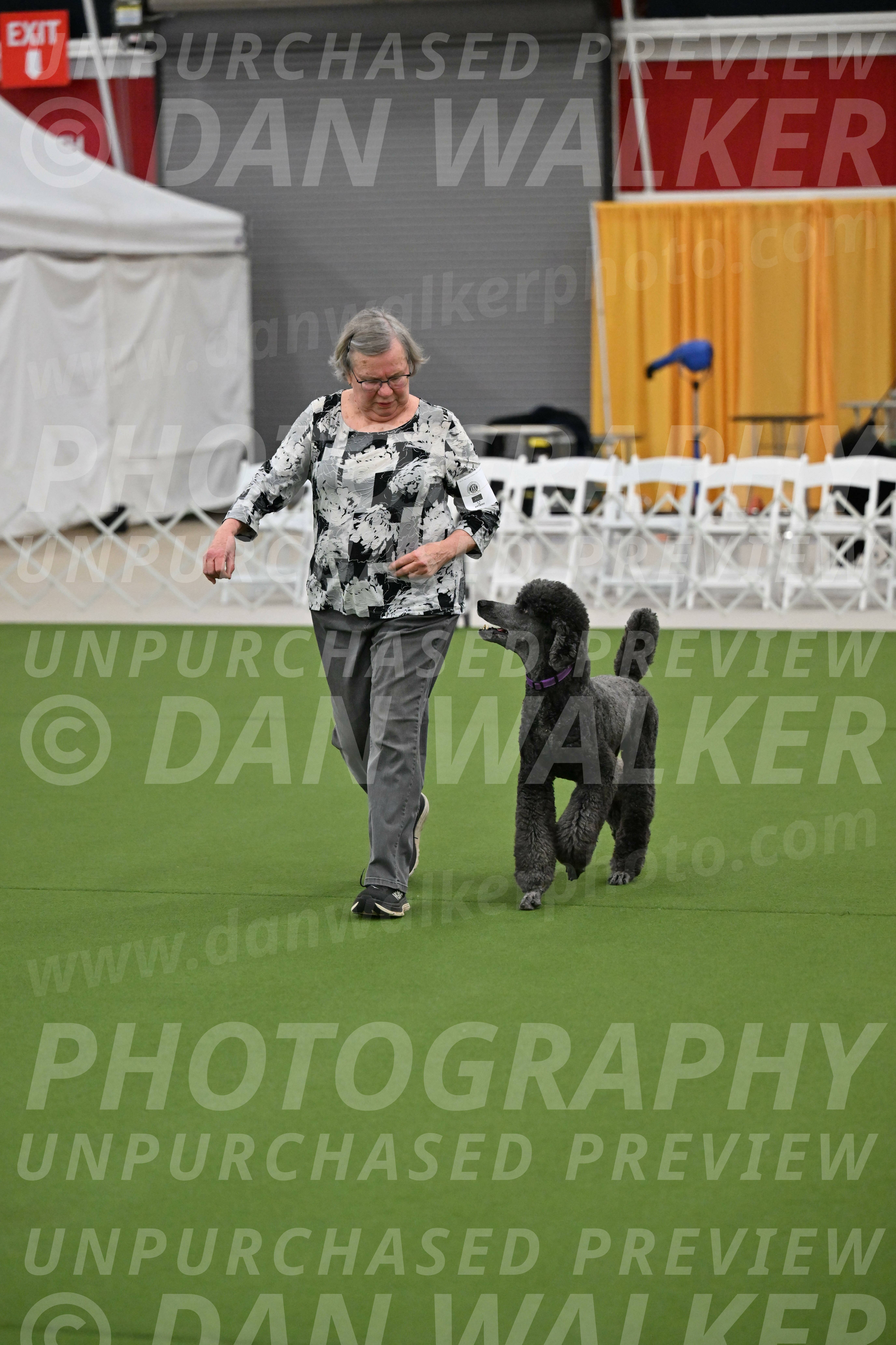 Ring-2-Morning-Obedience_1394
