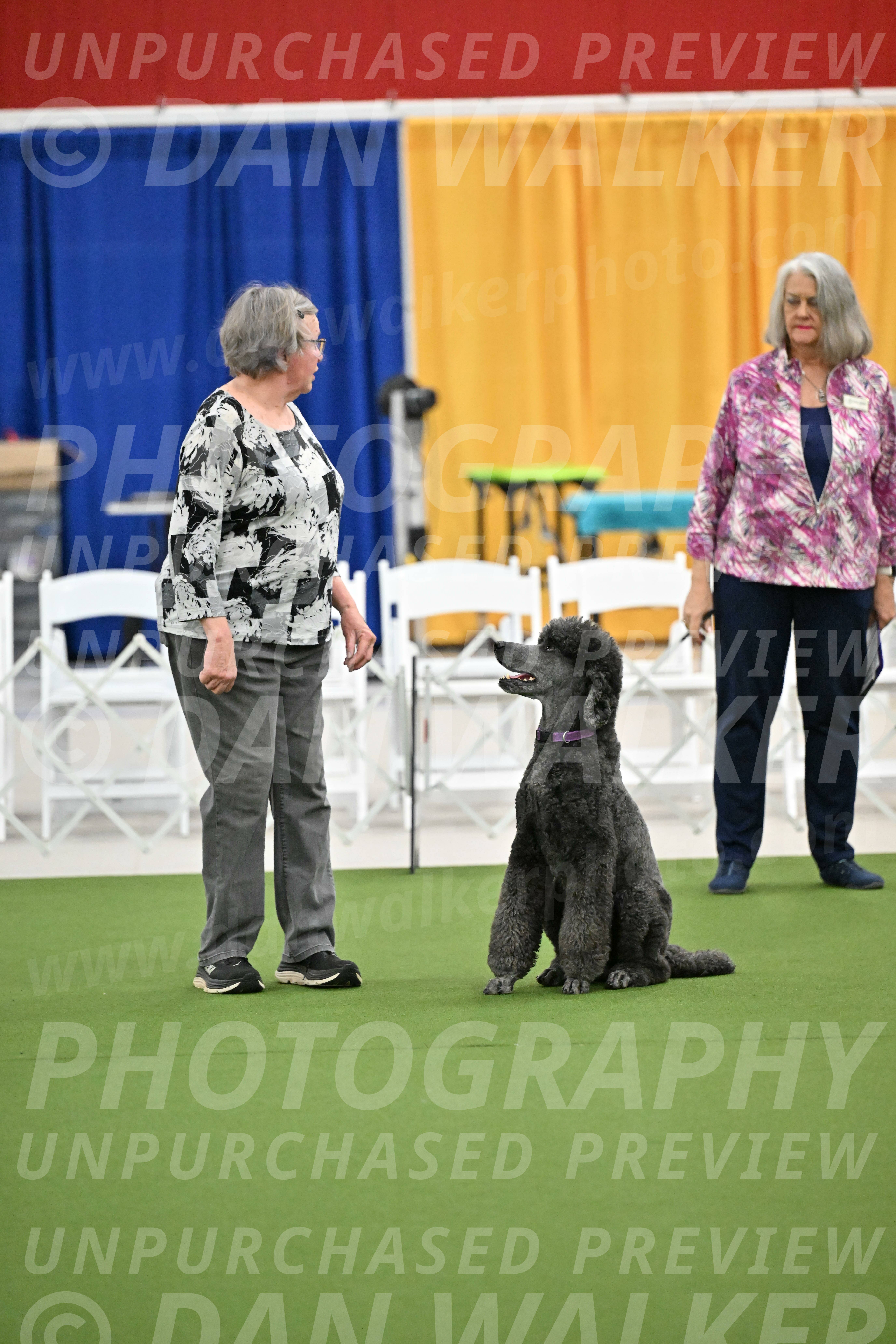 Ring-2-Morning-Obedience_1425