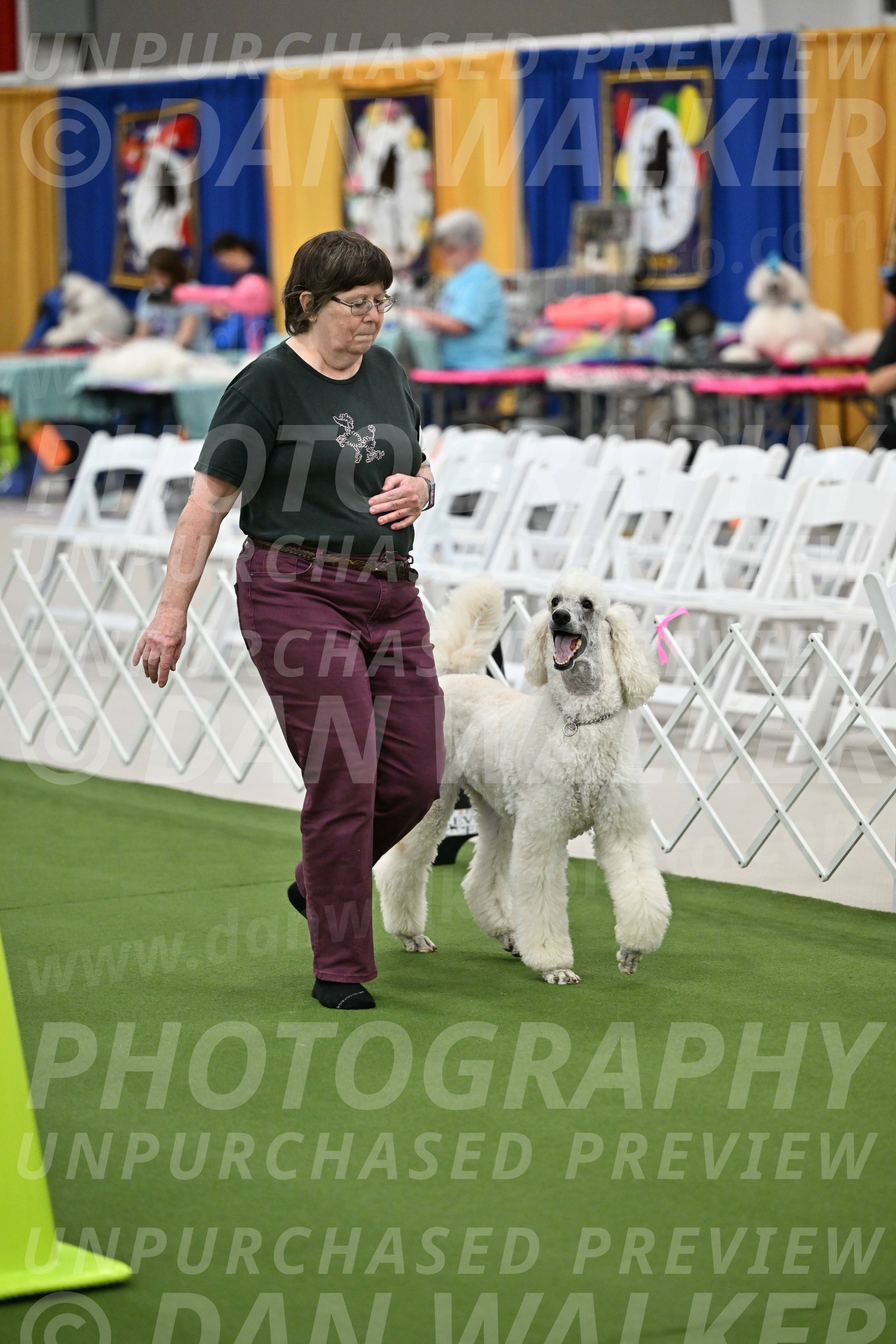 Ring-2-Morning-Obedience_1733