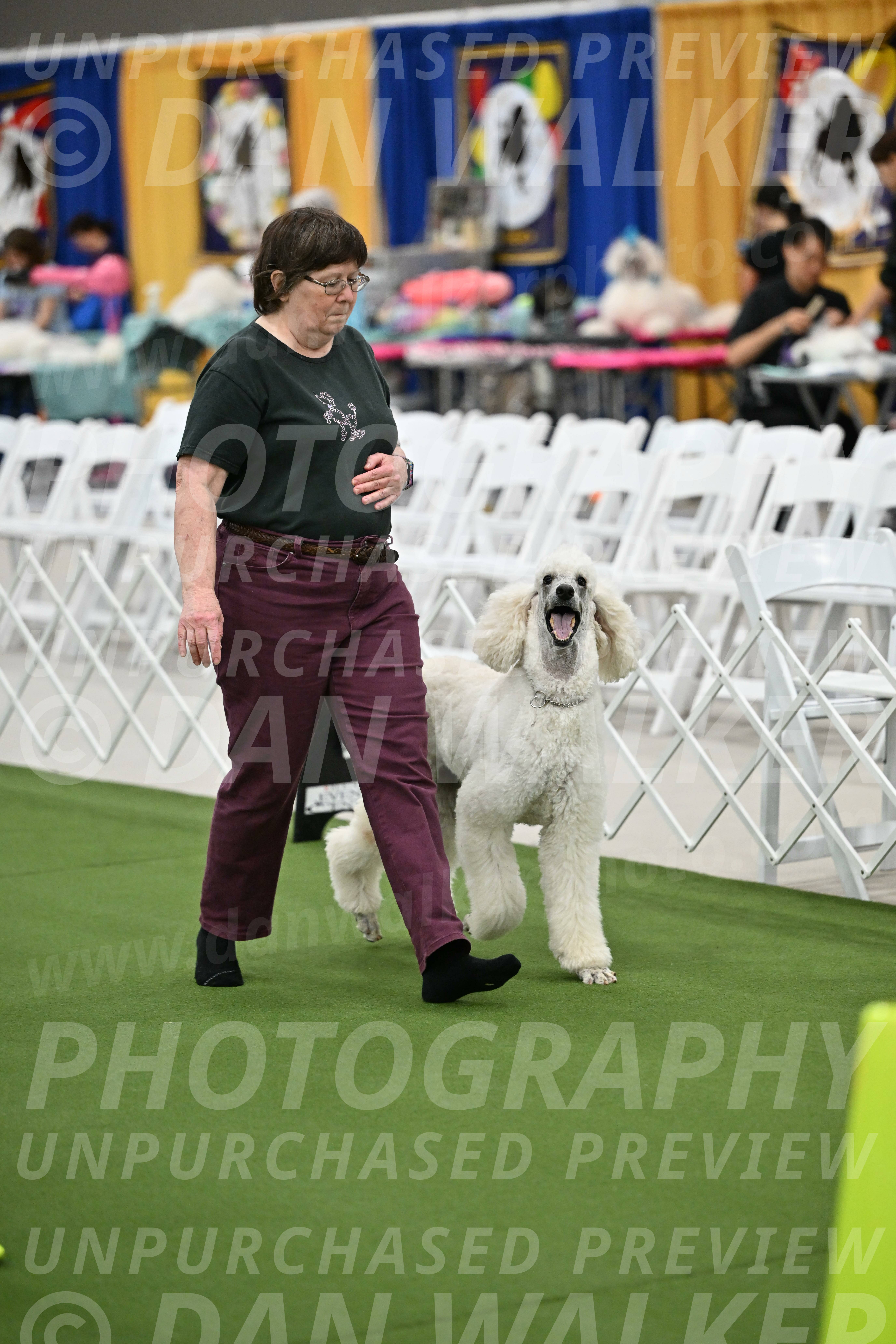 Ring-2-Morning-Obedience_1735