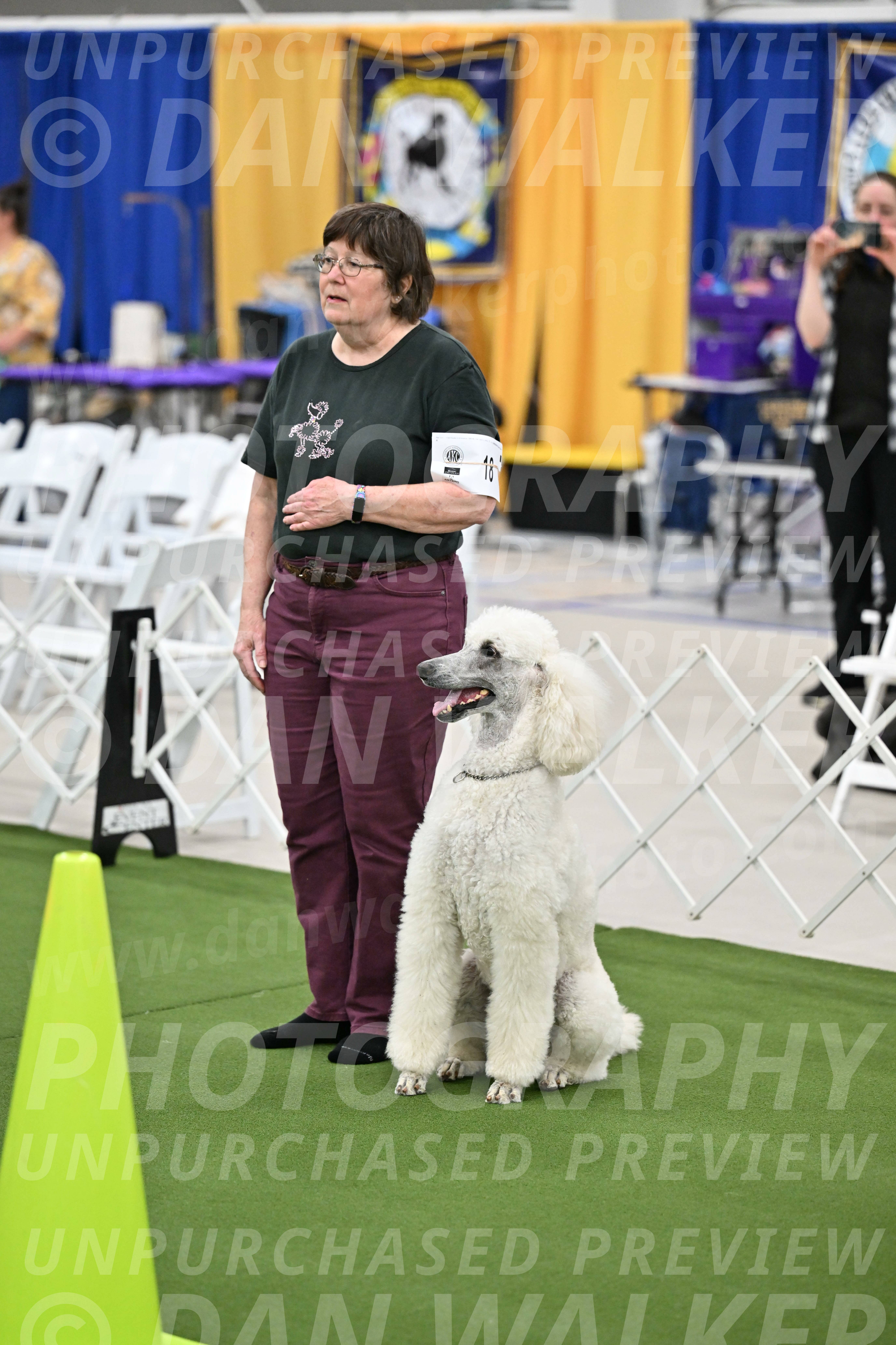 Ring-2-Morning-Obedience_1737