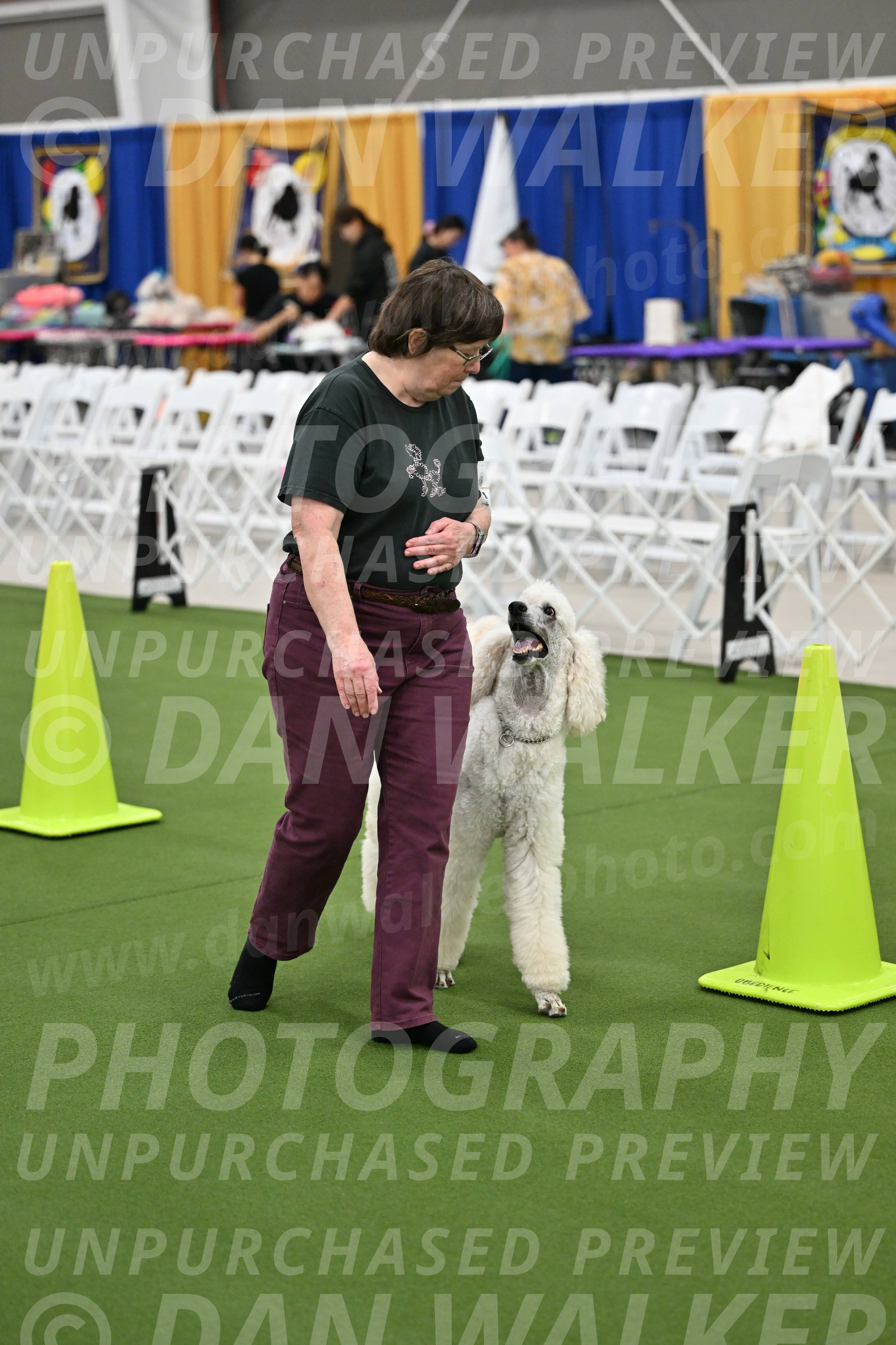 Ring-2-Morning-Obedience_1739