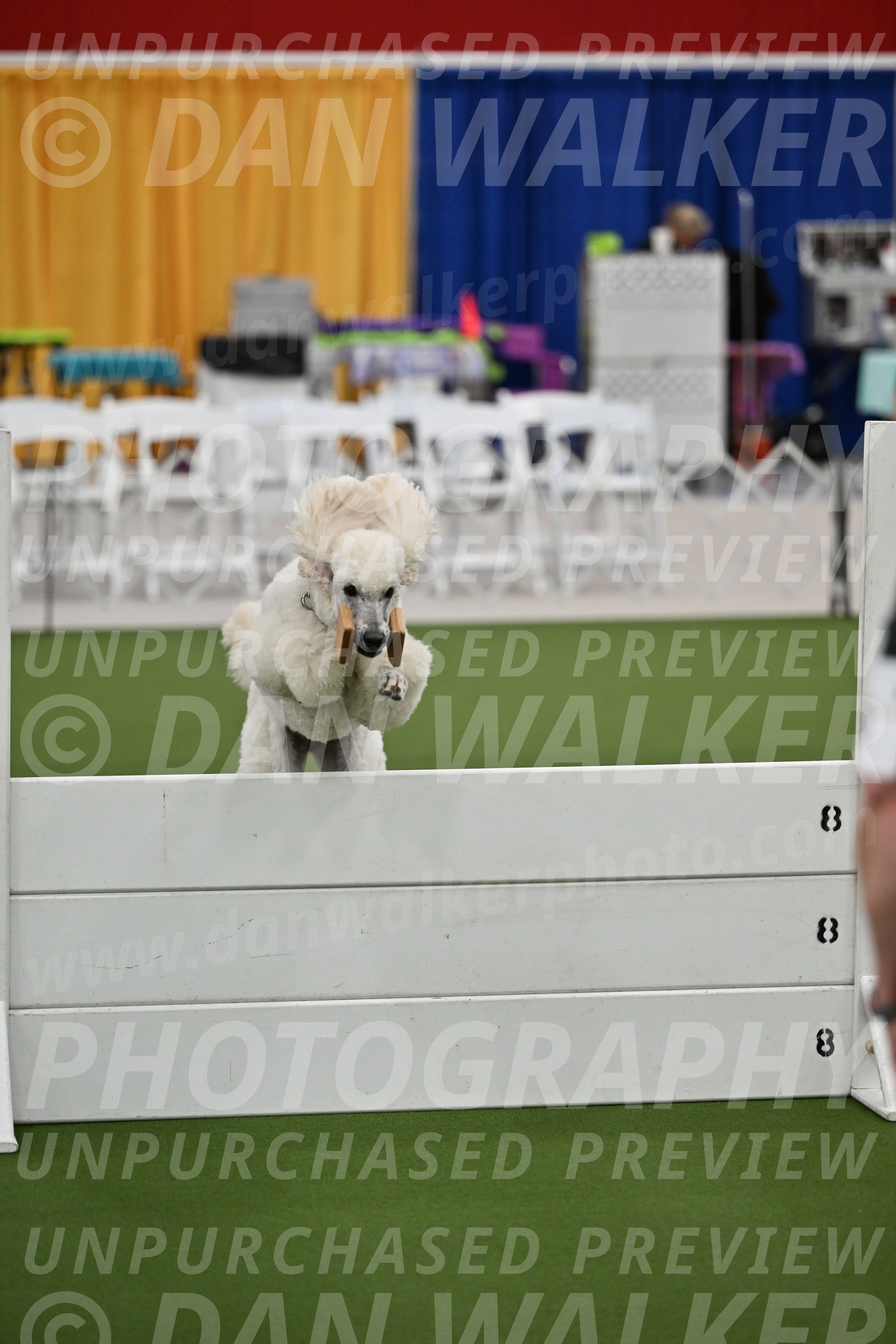 Ring-2-Morning-Obedience_1756