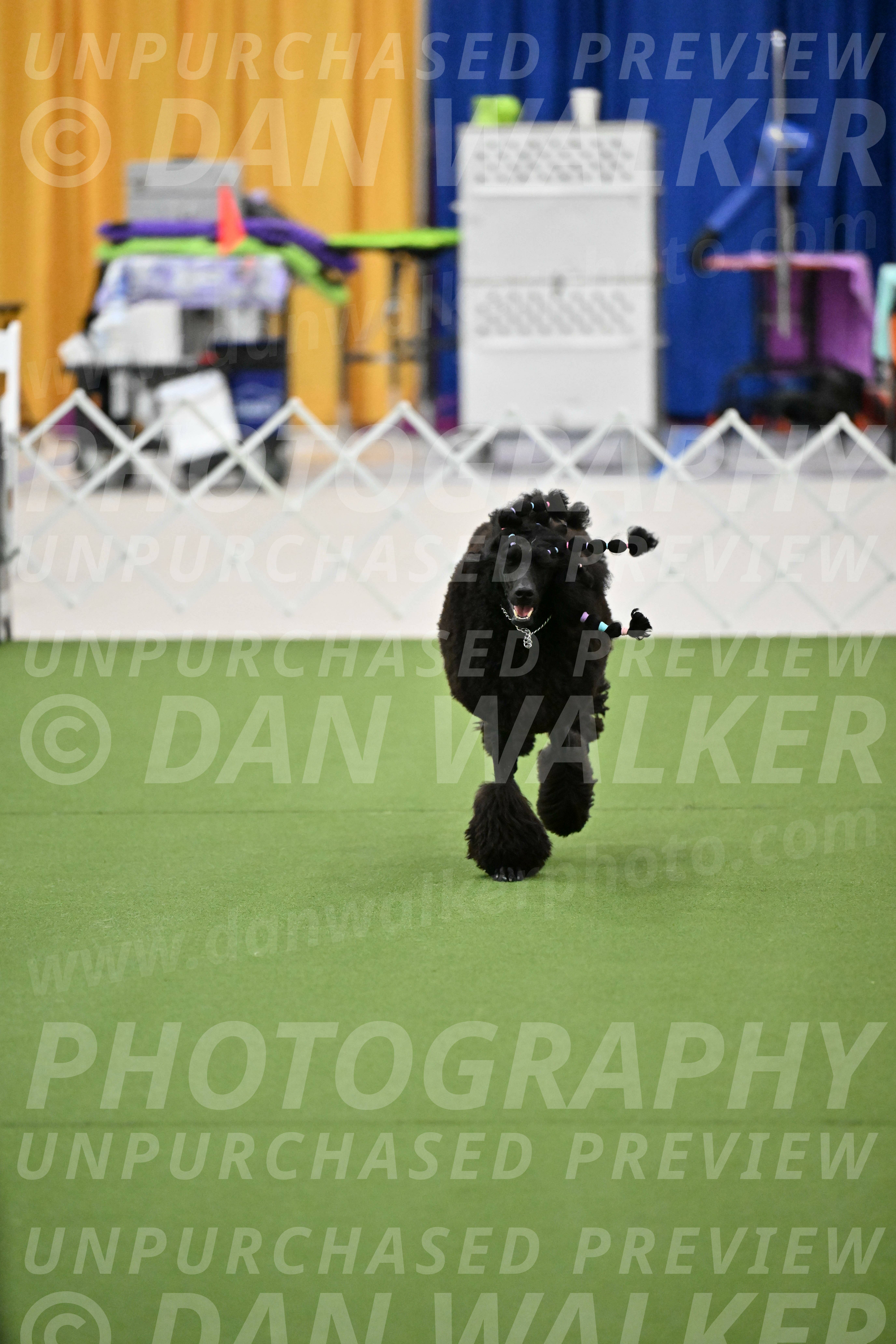 Ring-2-Morning-Obedience_1798