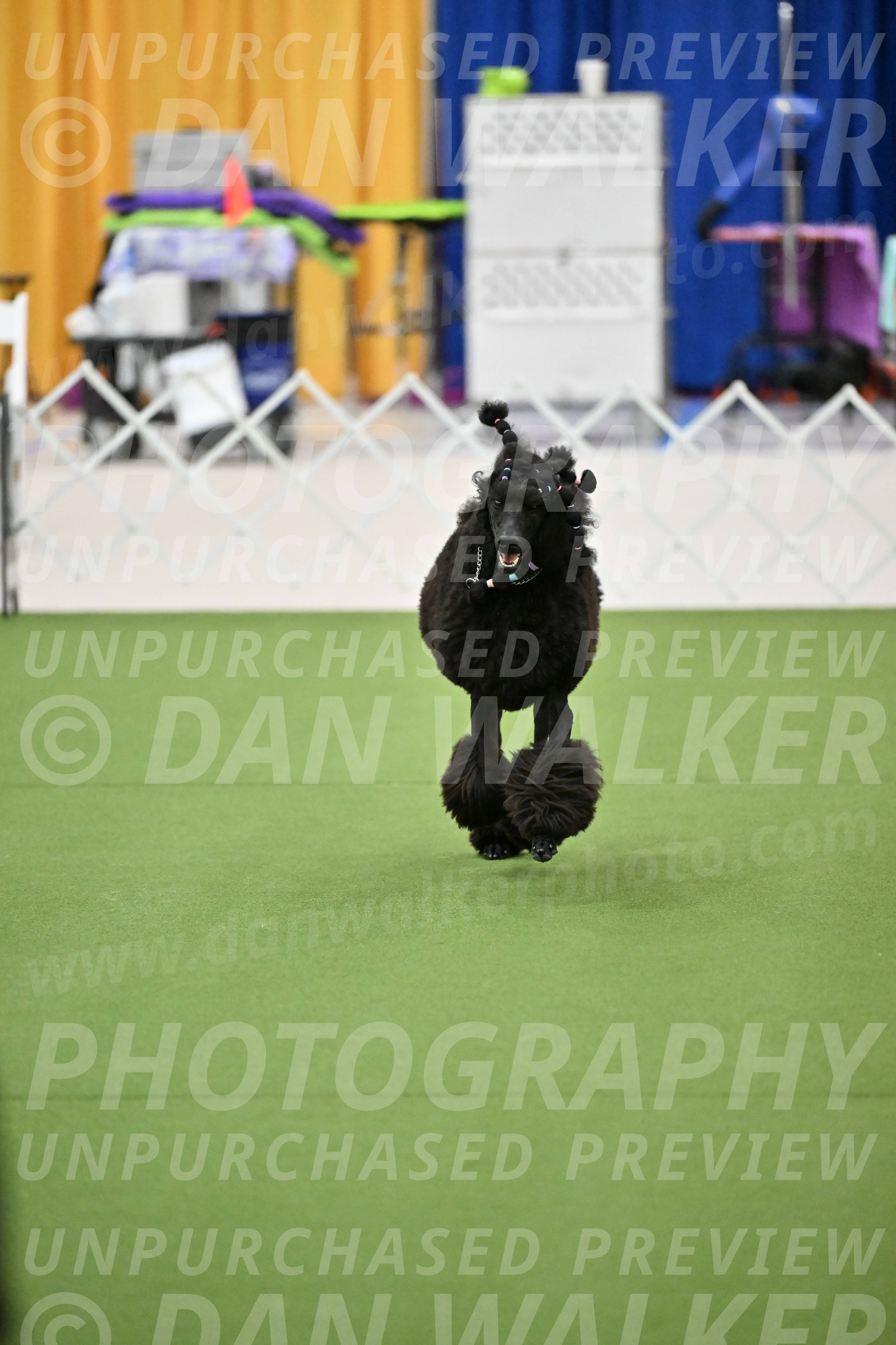 Ring-2-Morning-Obedience_1800