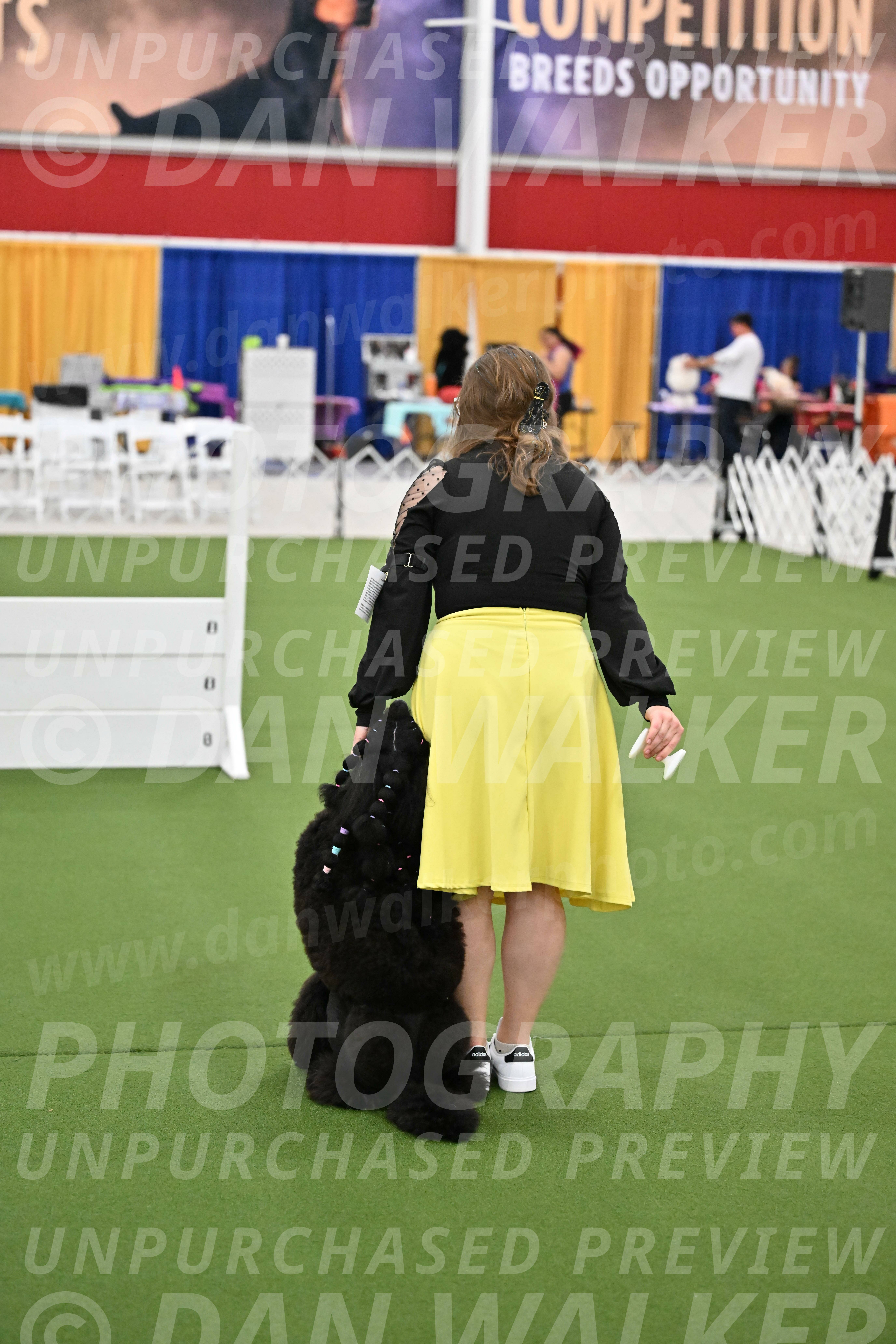 Ring-2-Morning-Obedience_1828