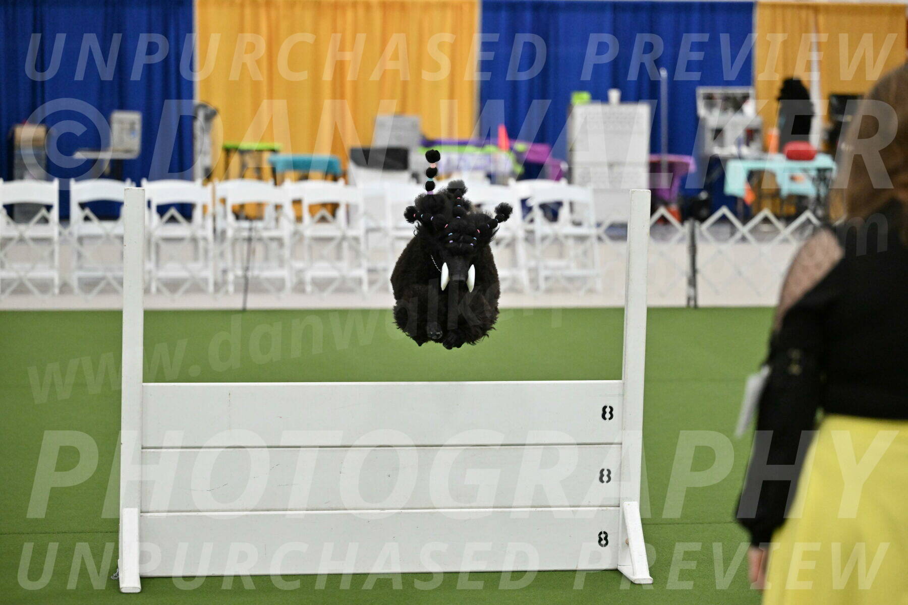 Ring-2-Morning-Obedience_1830