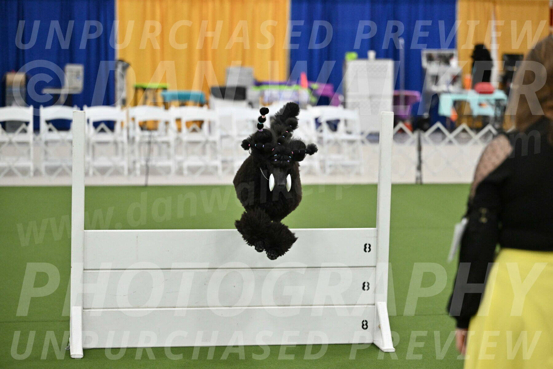 Ring-2-Morning-Obedience_1831