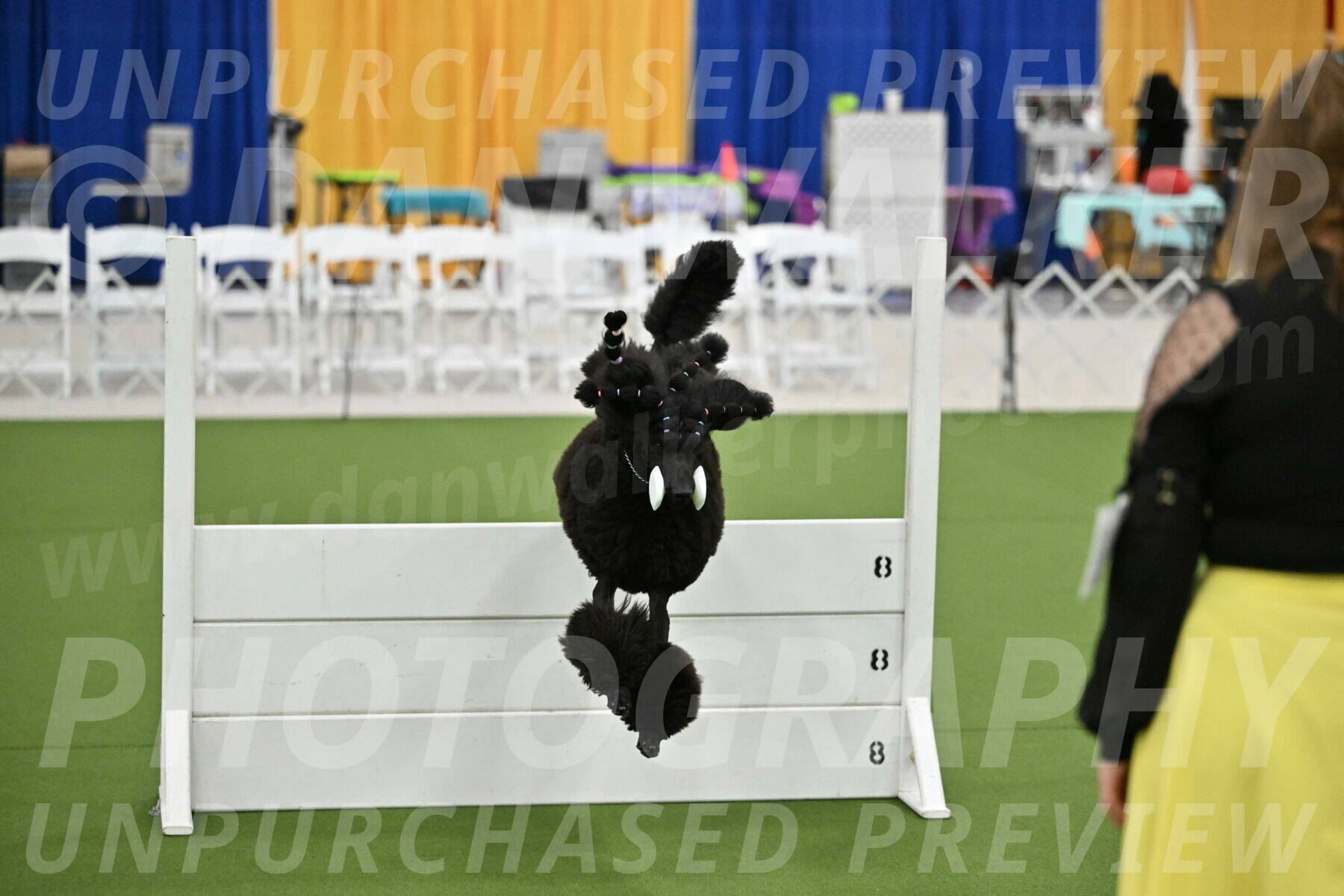 Ring-2-Morning-Obedience_1832