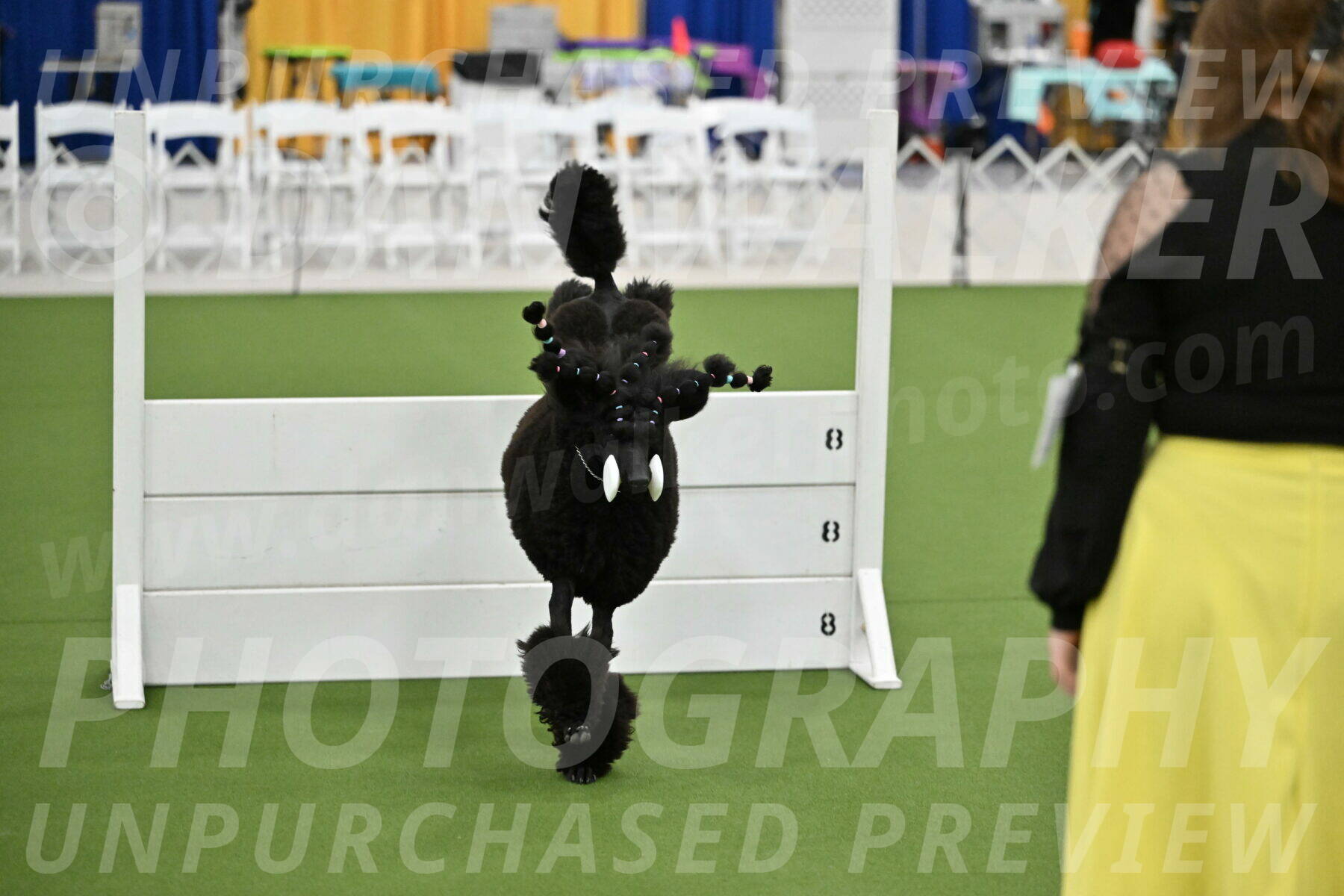 Ring-2-Morning-Obedience_1833