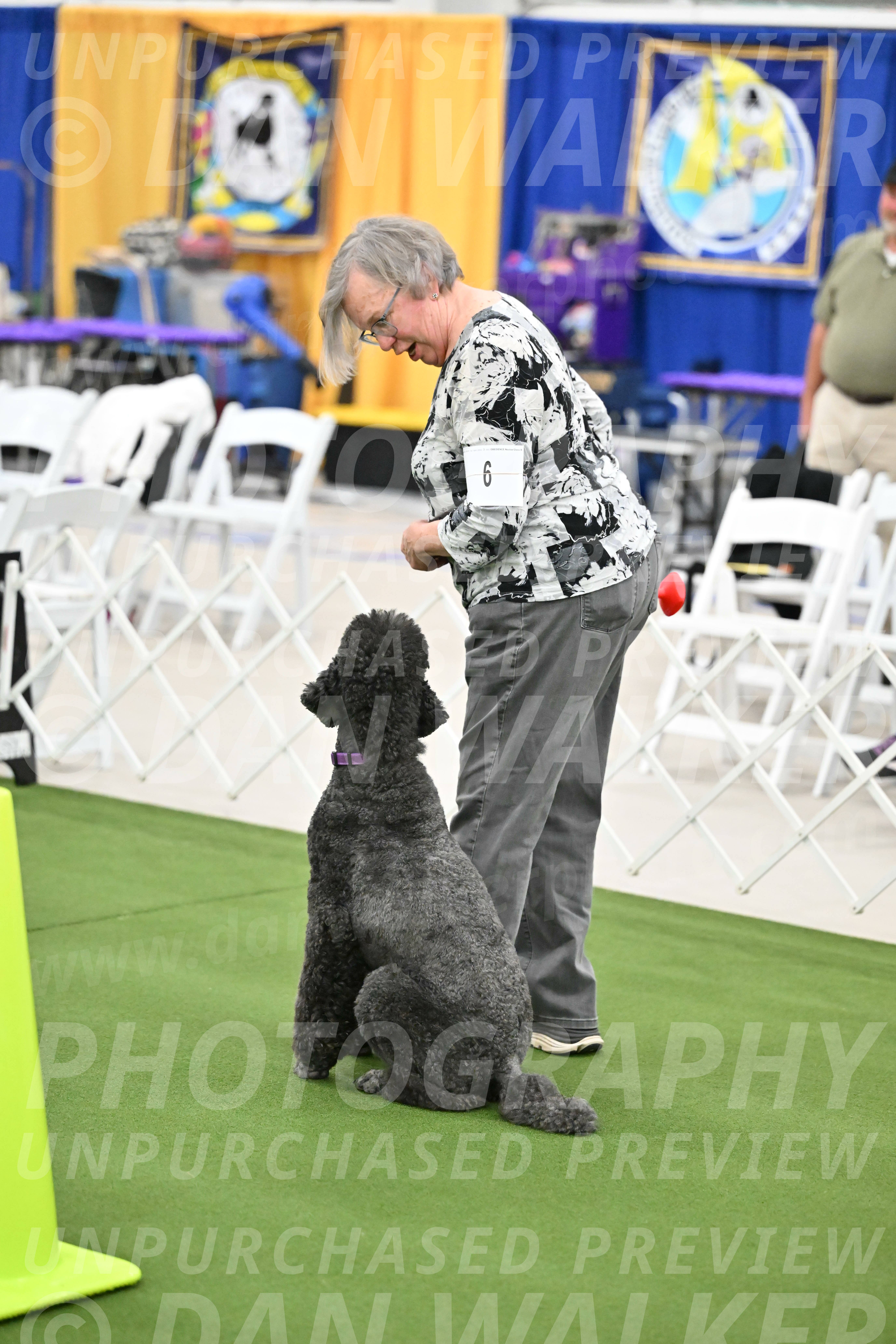 Ring-2-Morning-Obedience_1874