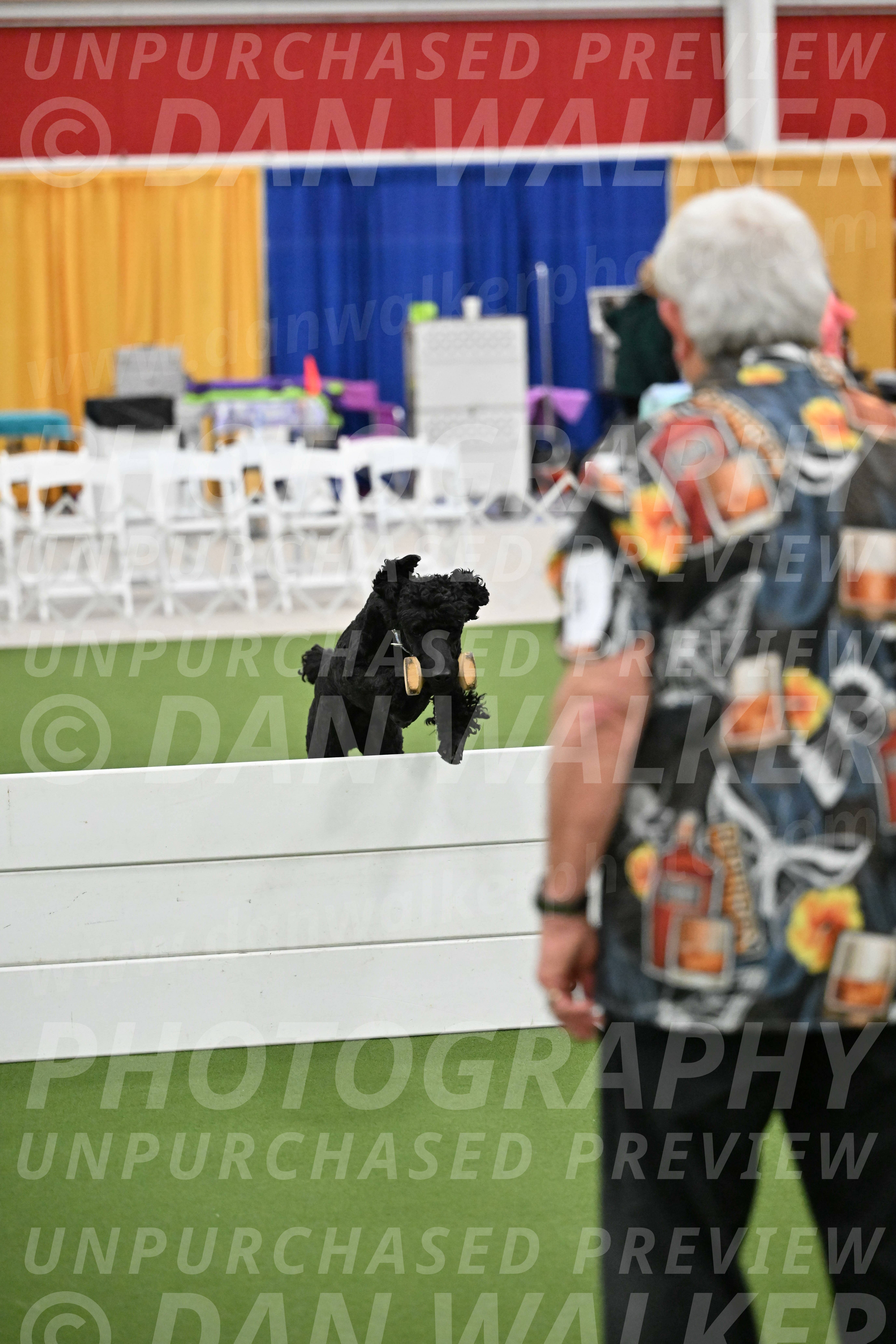 Ring-2-Morning-Obedience_1971