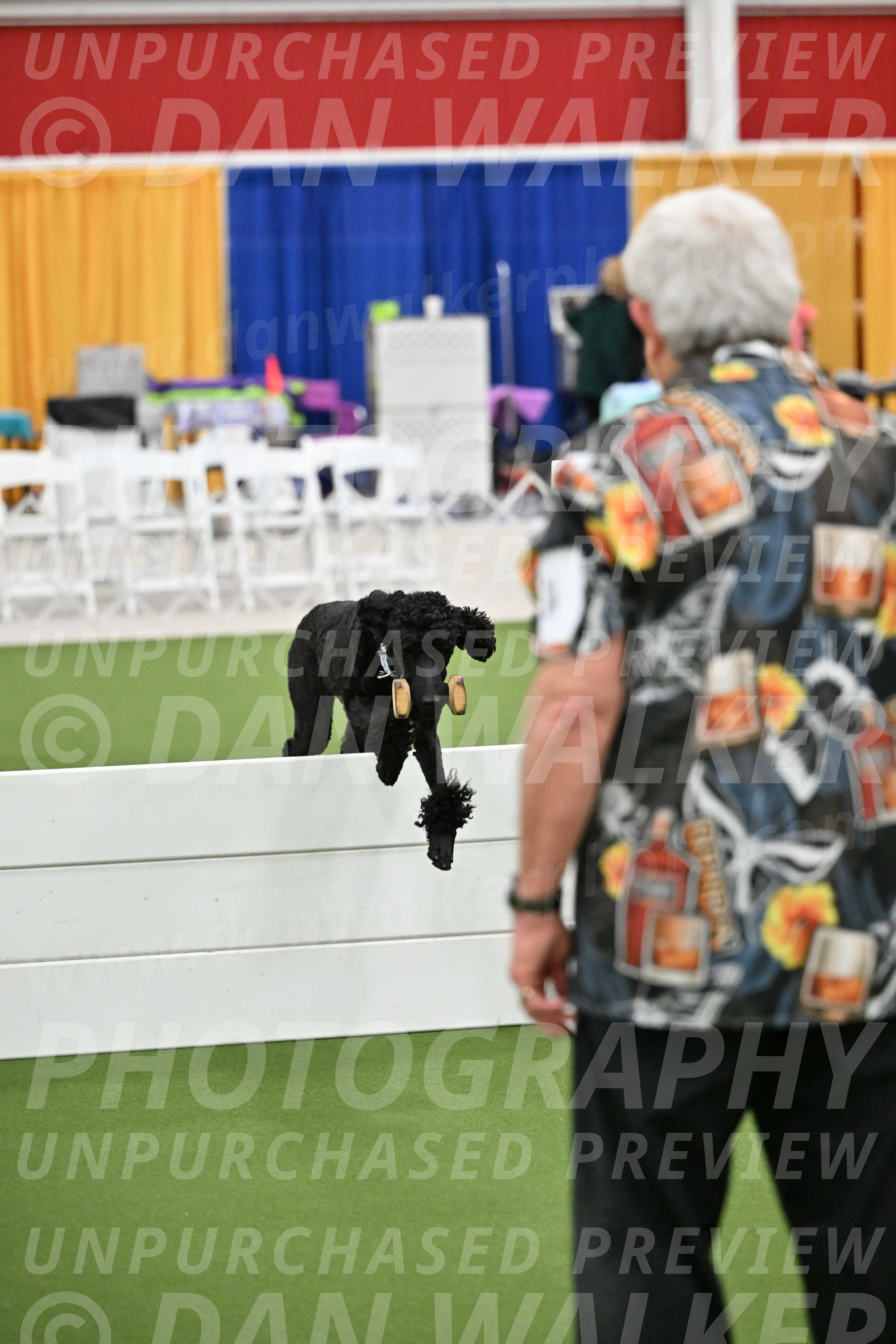 Ring-2-Morning-Obedience_1972