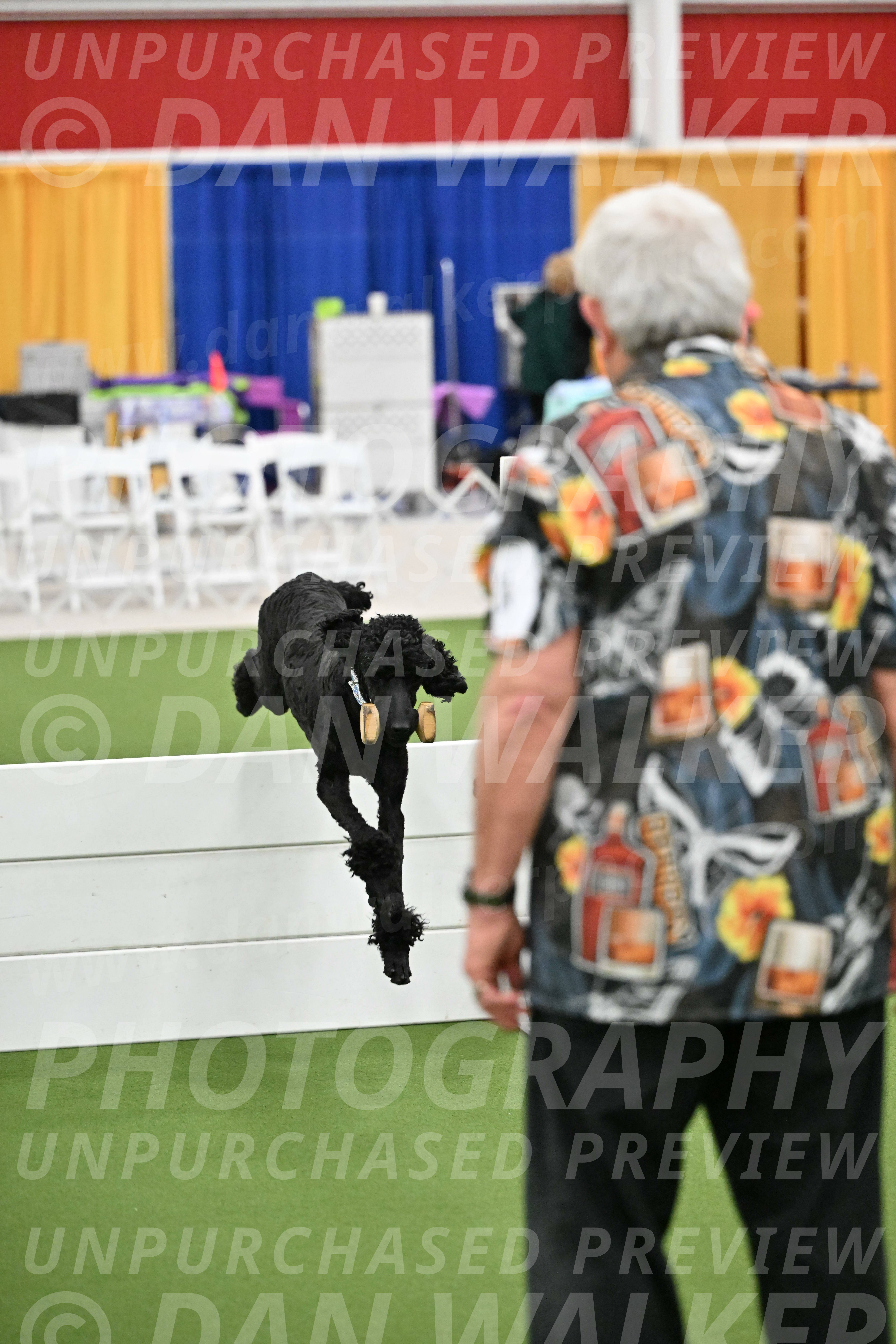 Ring-2-Morning-Obedience_1973