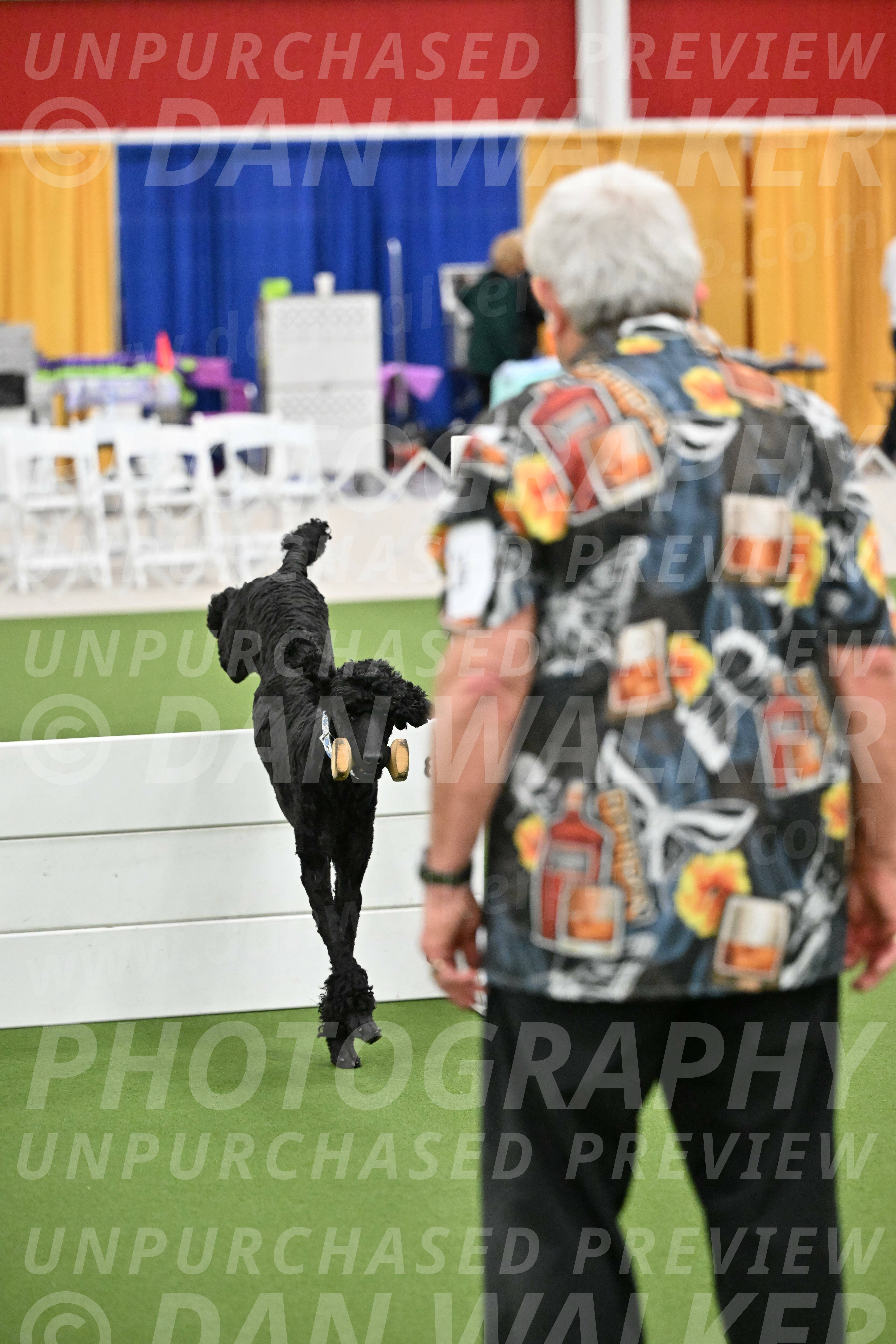 Ring-2-Morning-Obedience_1974