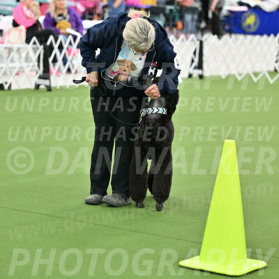 Ring-3-Afternoon-Obedience_2254