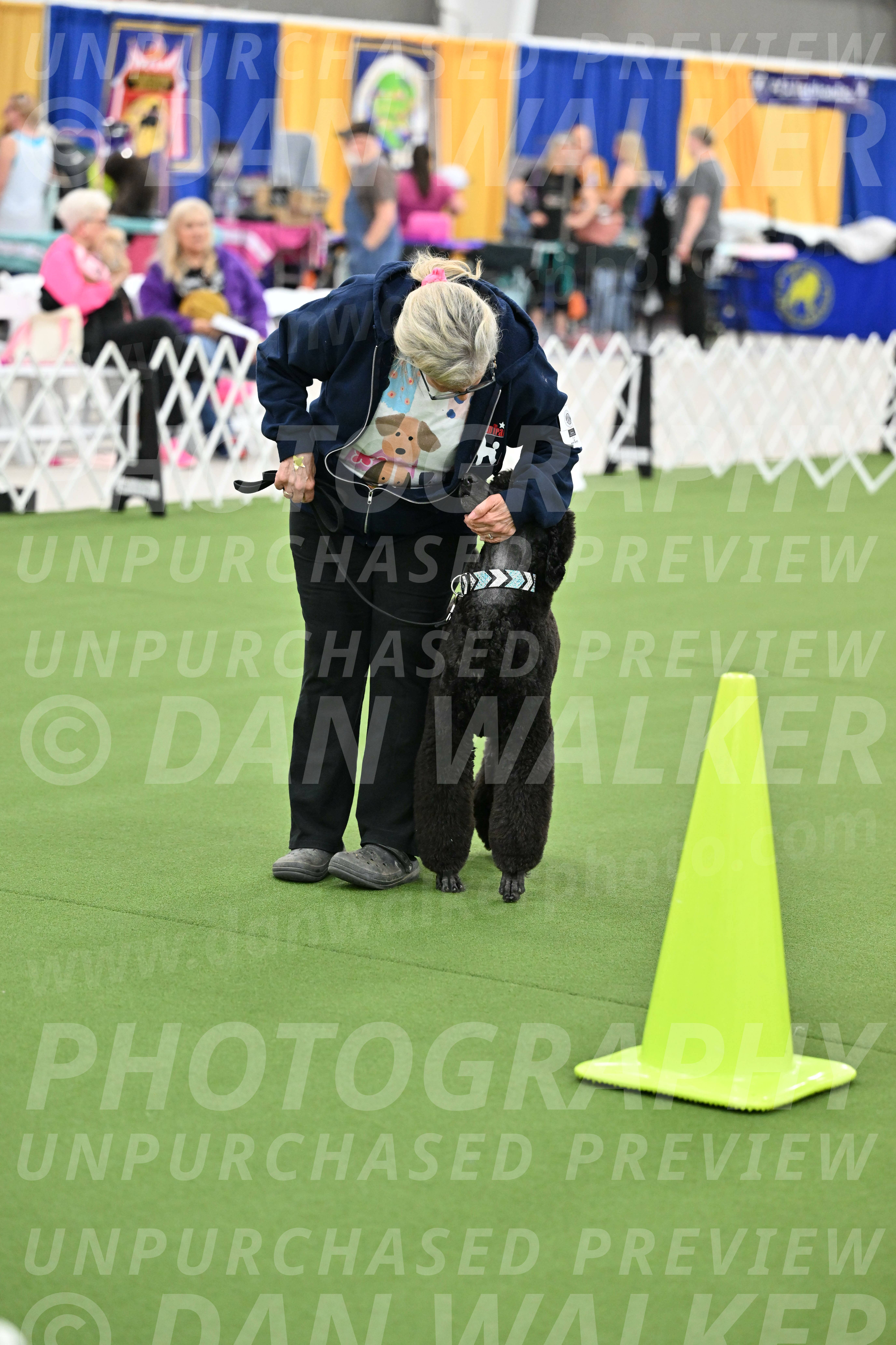 Ring-3-Afternoon-Obedience_2254