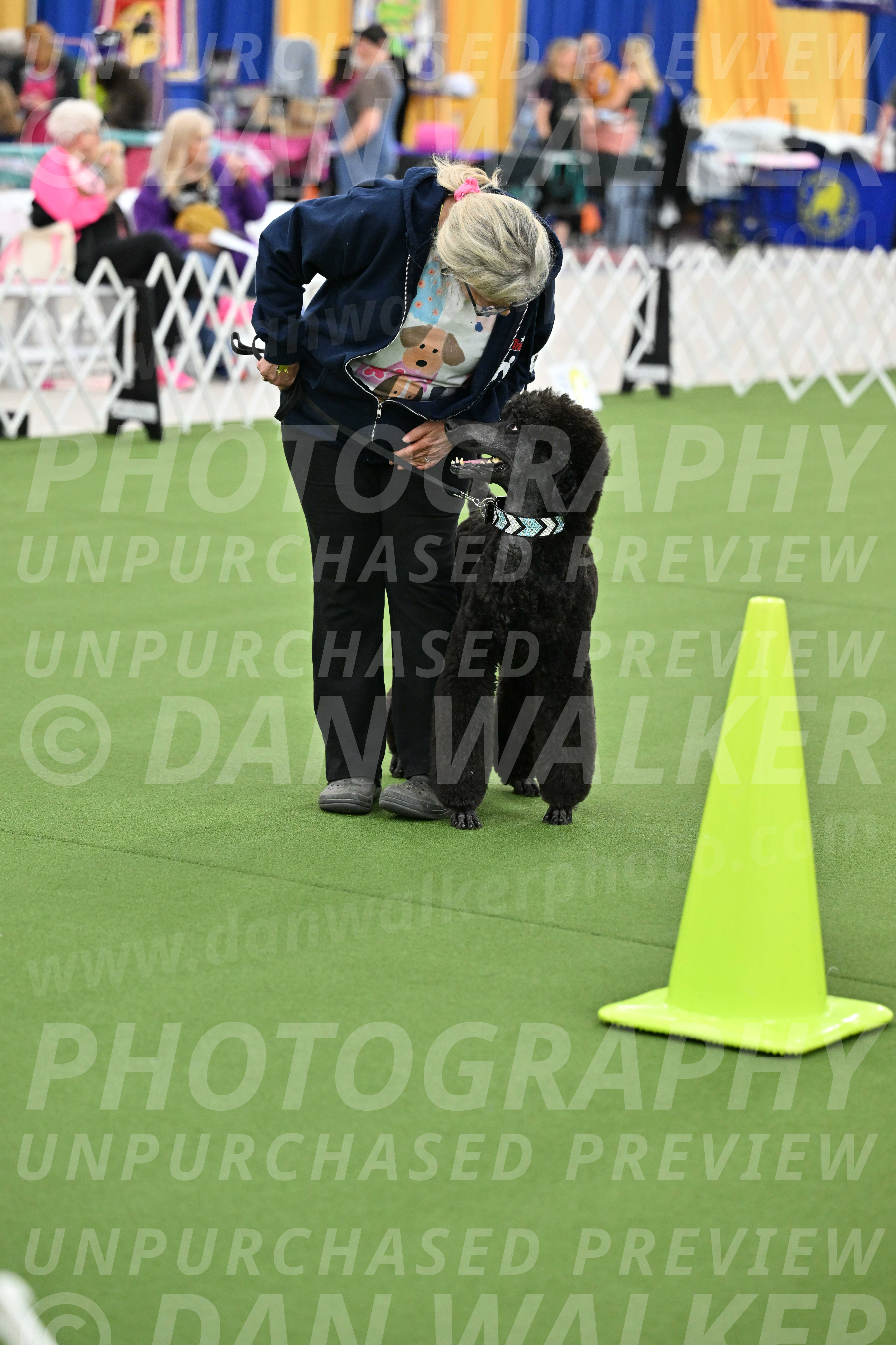 Ring-3-Afternoon-Obedience_2256