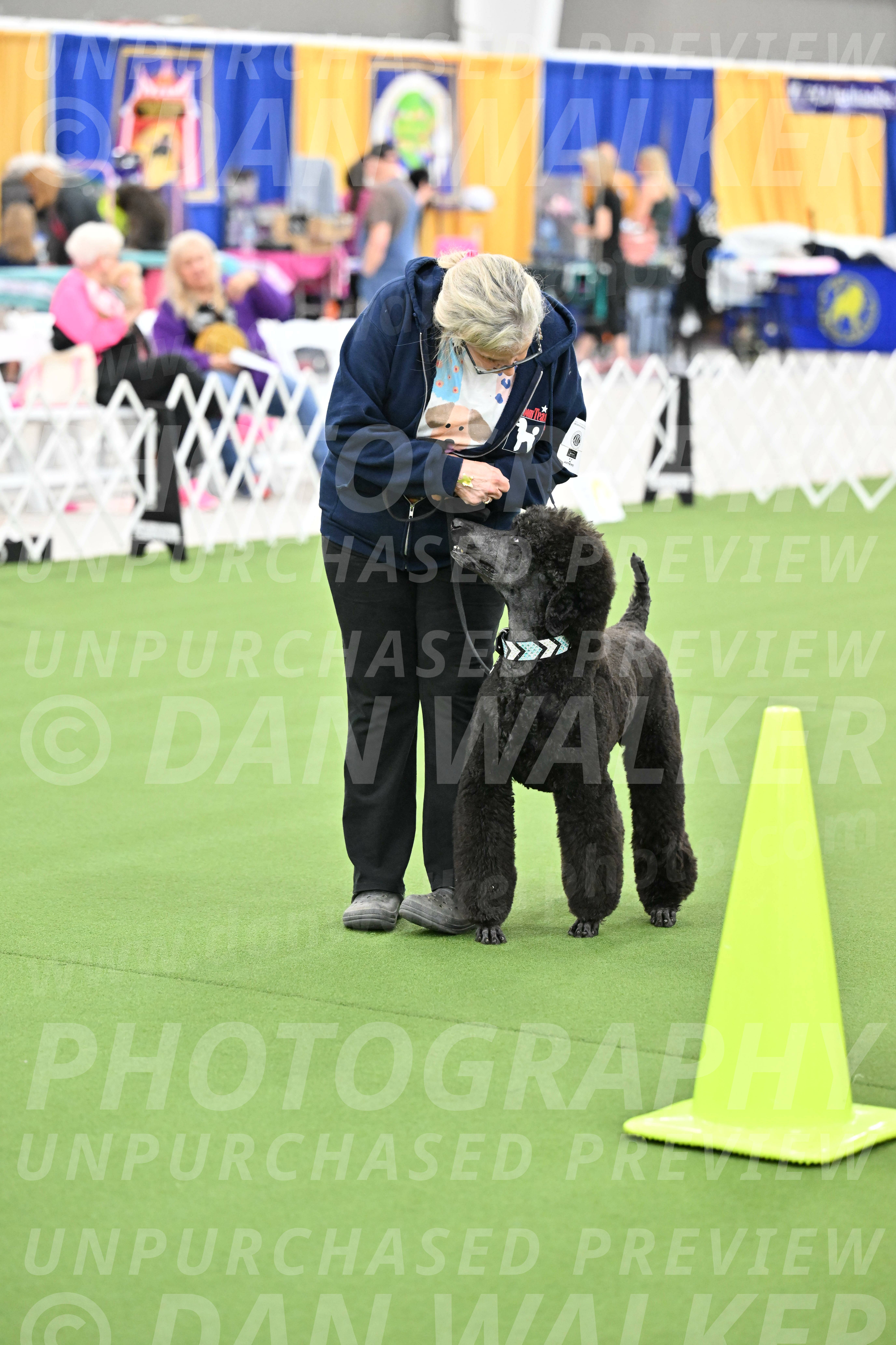 Ring-3-Afternoon-Obedience_2258