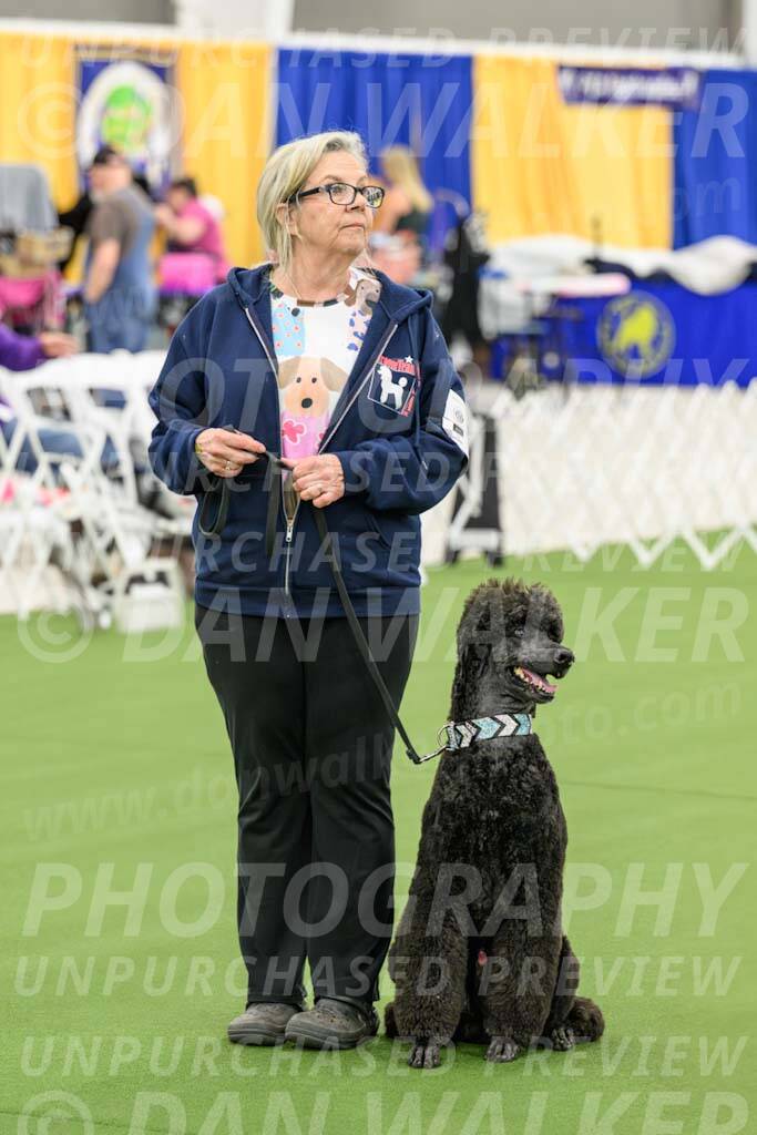 Ring-3-Afternoon-Obedience_2260-Enhanced-NR