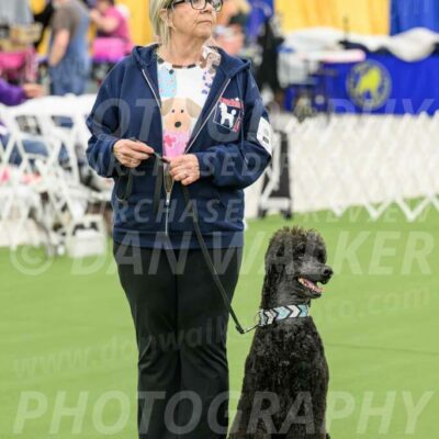 Ring-3-Afternoon-Obedience_2260-Enhanced-NR